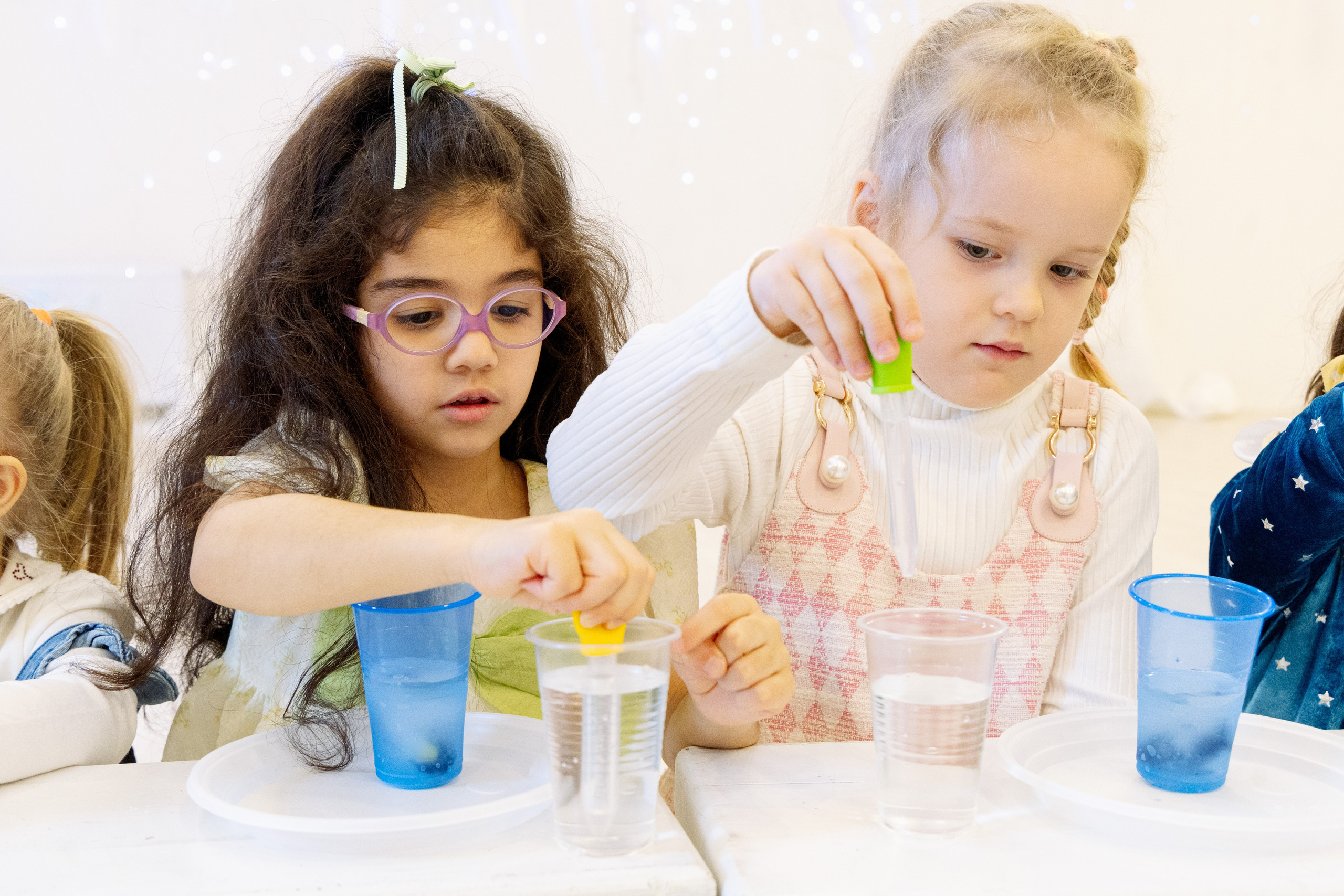 Сад и школа