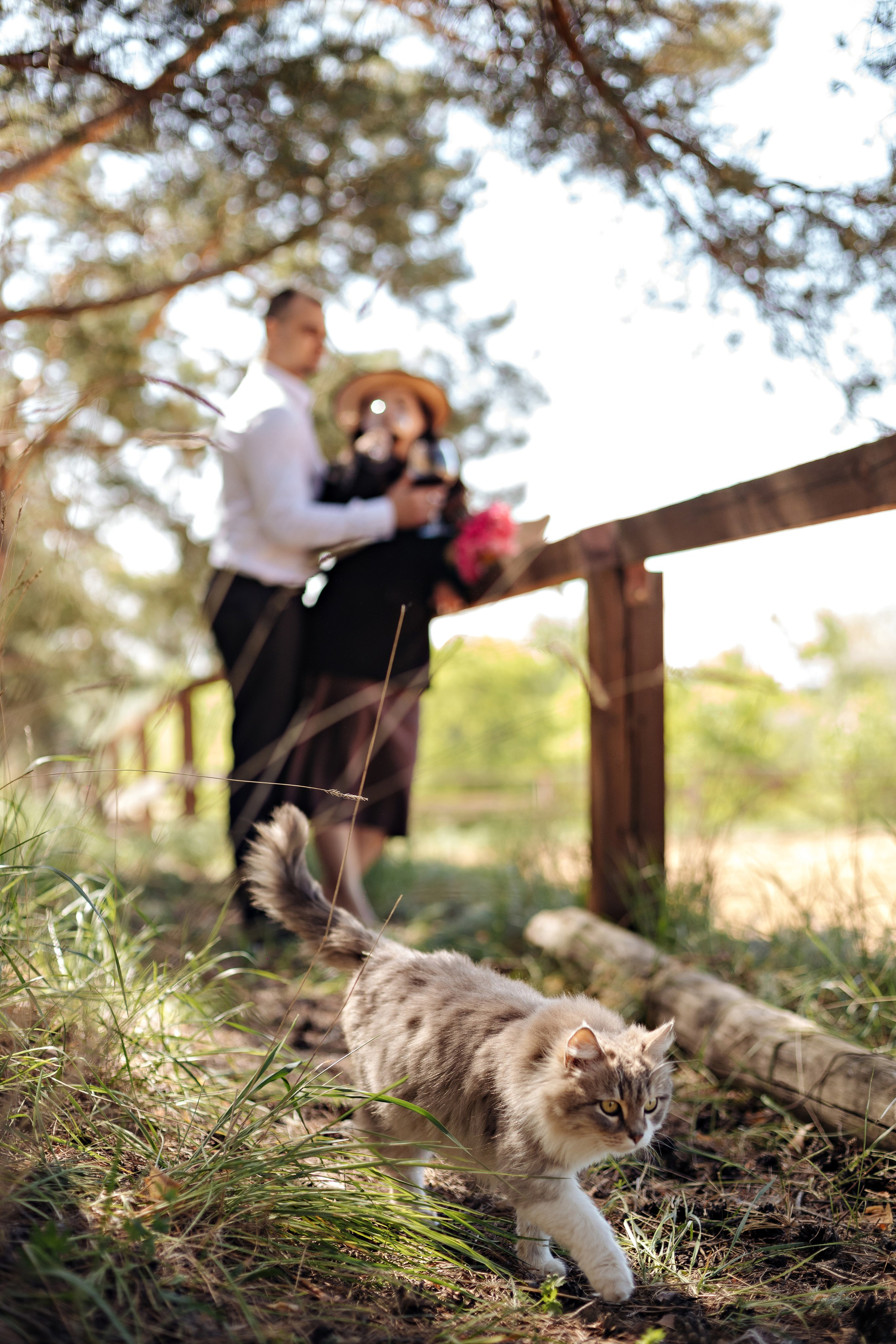Анастасия и Евгений. Свадебный фотограф в Саратове