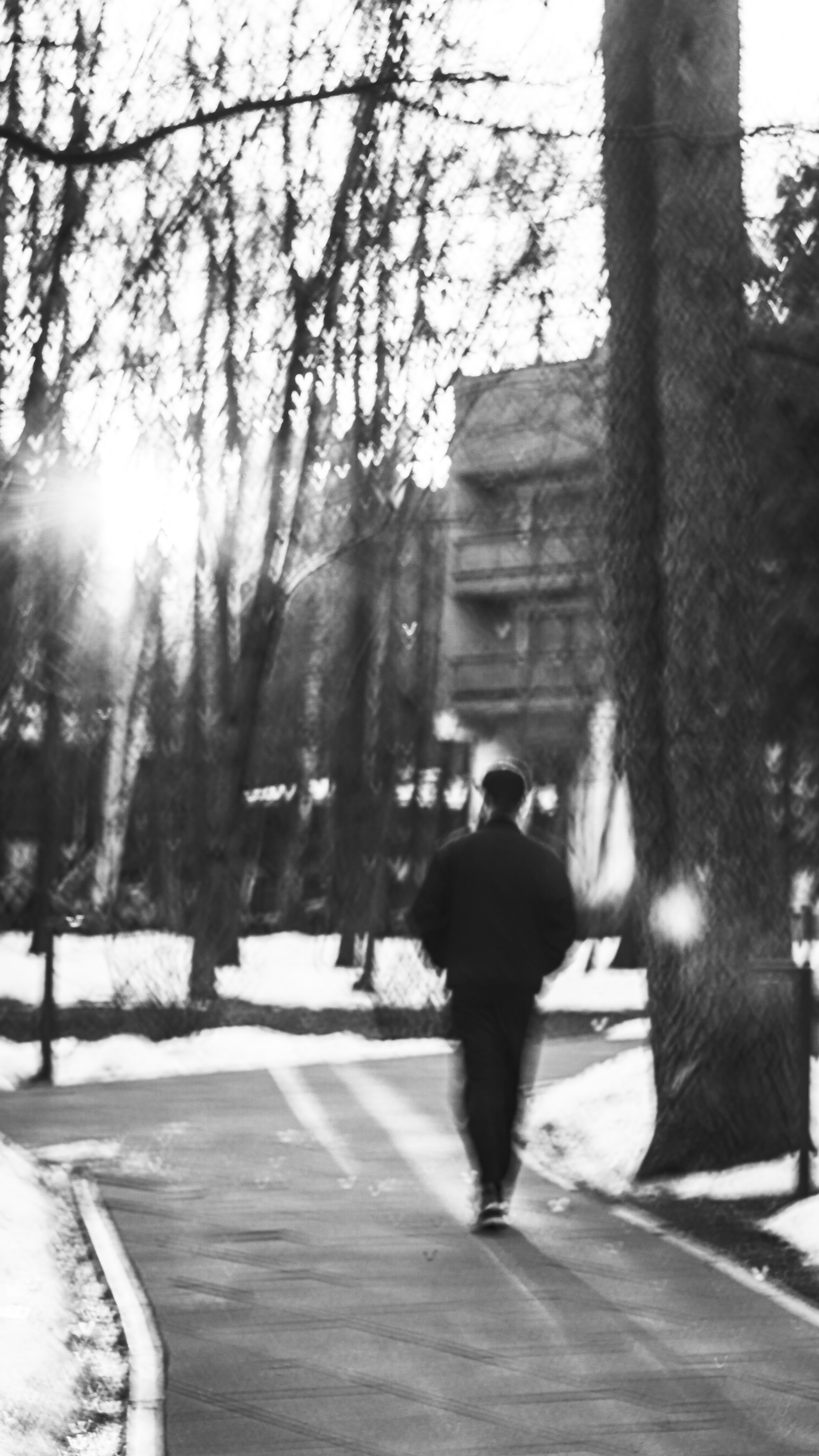 Биполярные состояния. ФОТОГРАФ В МОСКВЕ ЛЮДМИЛА СТРОКОВА