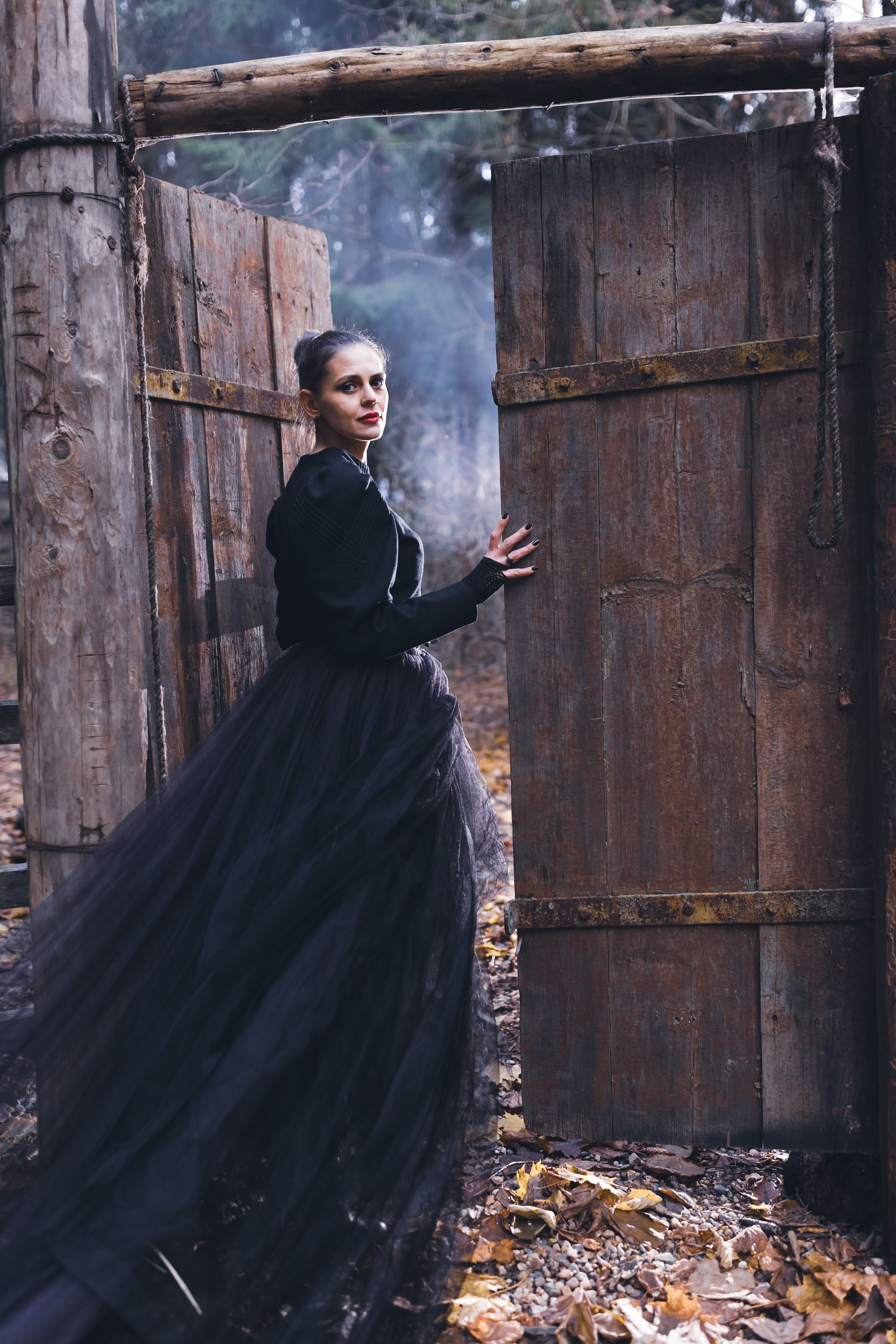 Тайны леса. Сказочный фотограф для Вас и Вашей семьи