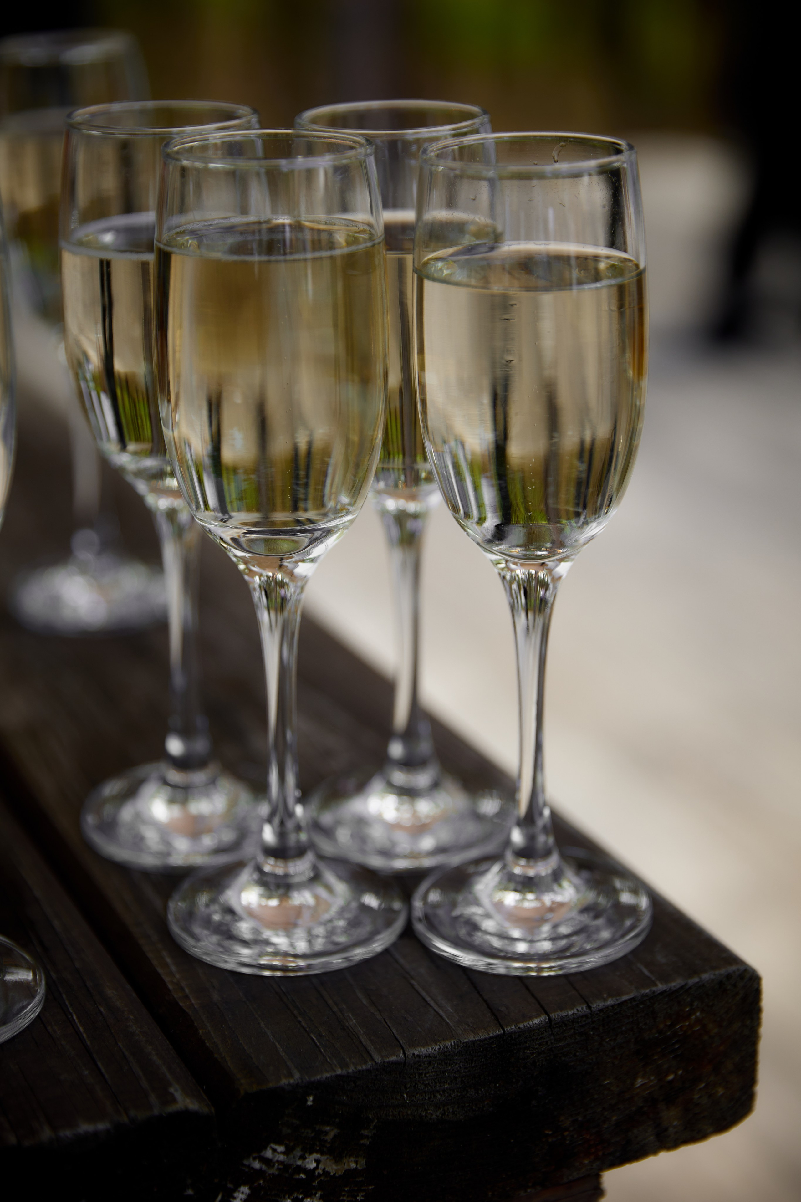 E&K. Профессиональный фотограф Светлана Писарева