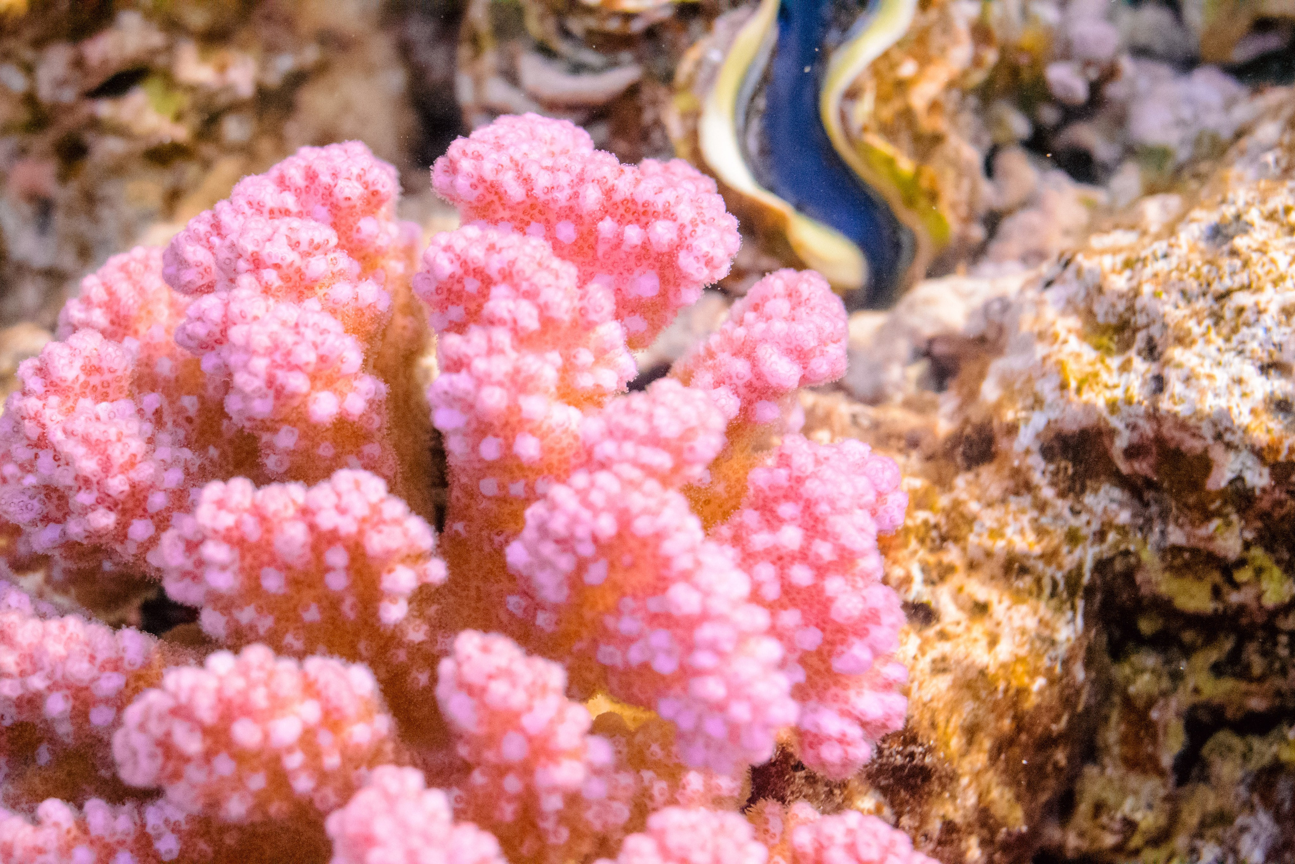 Море. Фотограф в Санкт-Петербурге Ибрагимова Алина