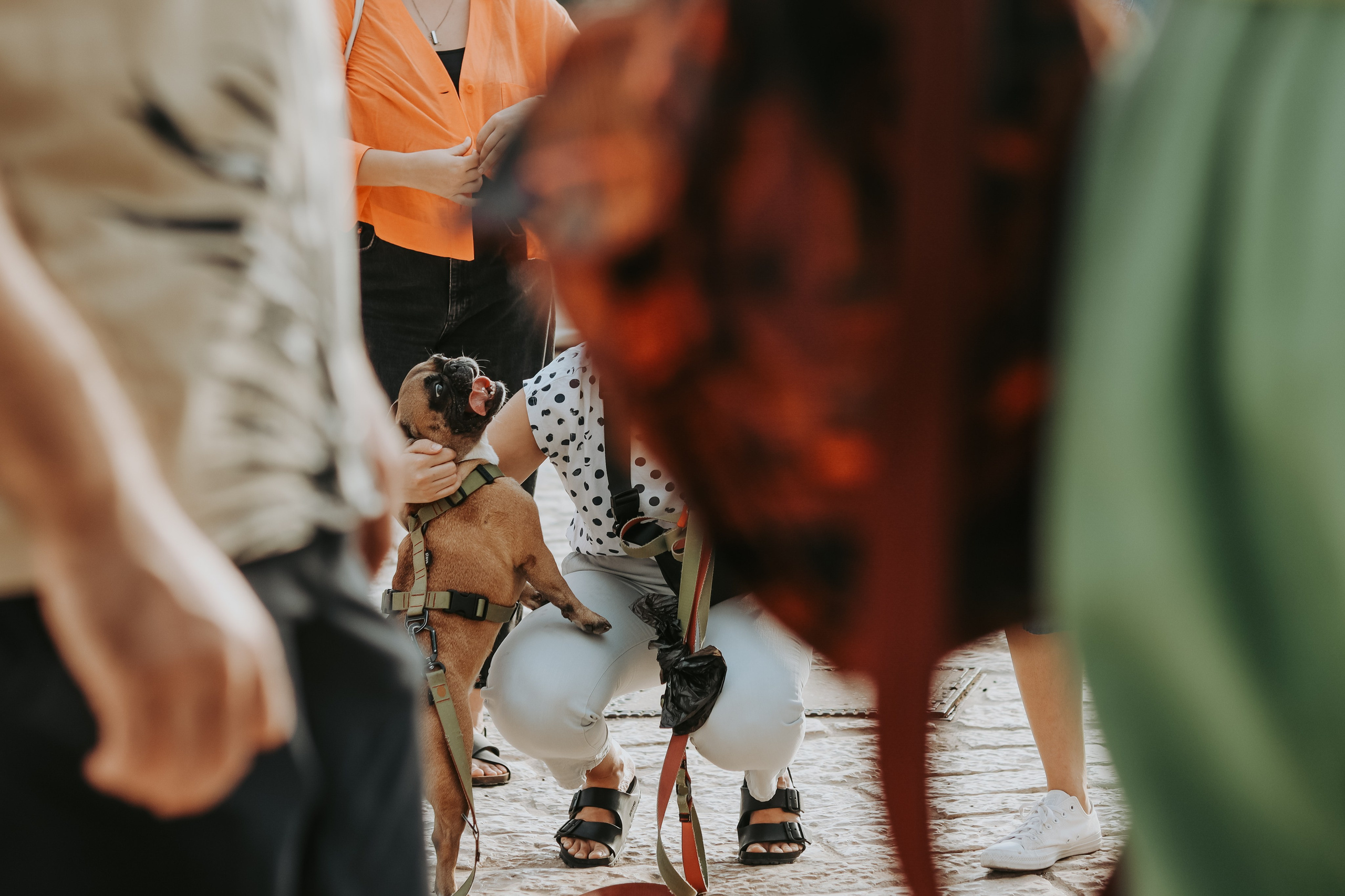 Charity walk in Jaffa, Tel Aviv 2023. Photographer in Israel Alice Milchin