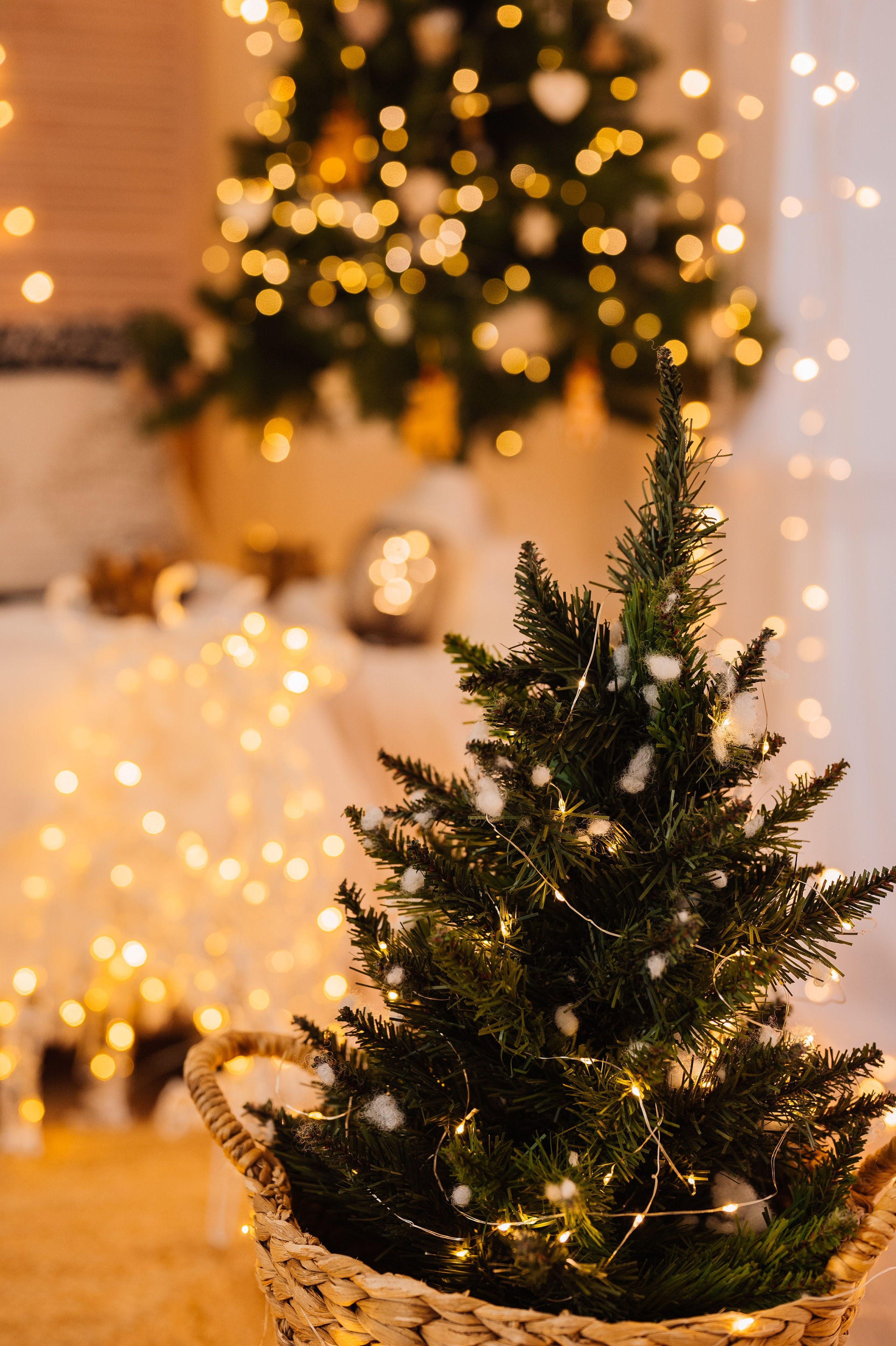 Актуальный декор 2024 в Детской фотостудии. Детский и семейный фотограф в Красноярске. Фотосессии новорожденных малышей до 1 месяца