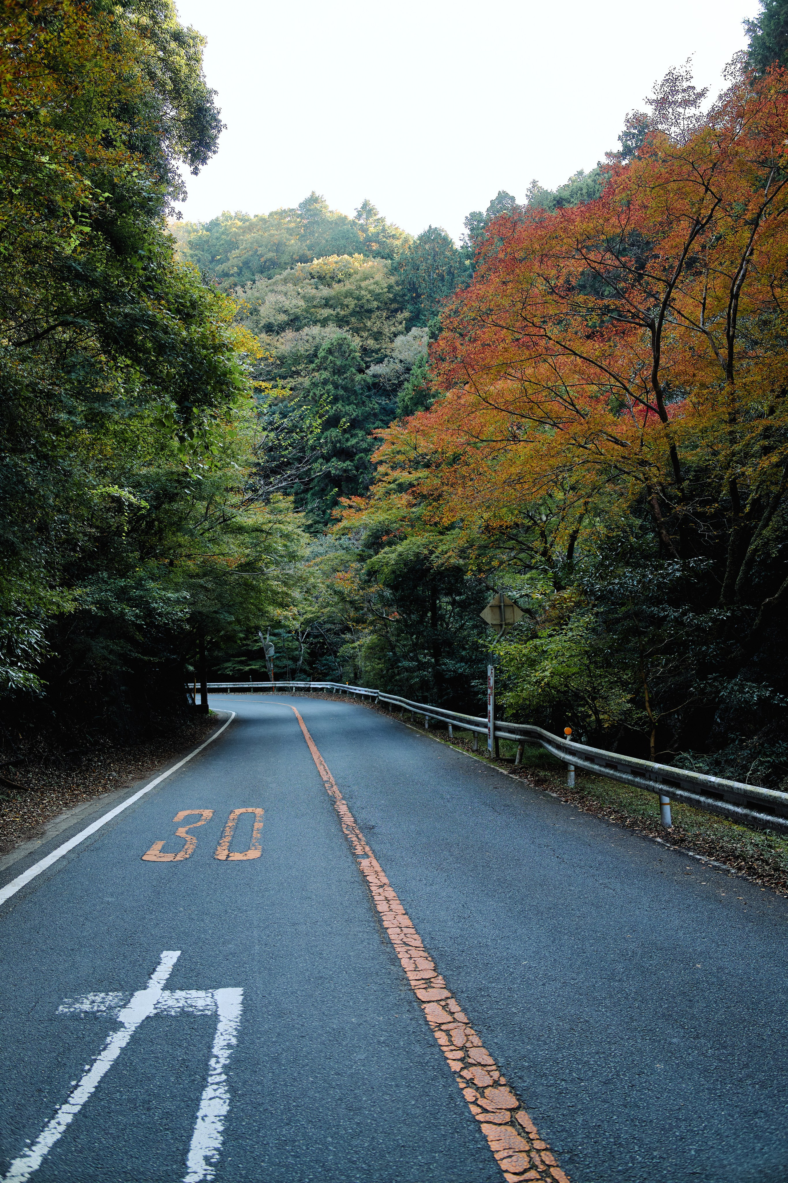 Япония. Профессиональный Фотограф во Владимире, в Москве и в Суздале — Полина Романычева