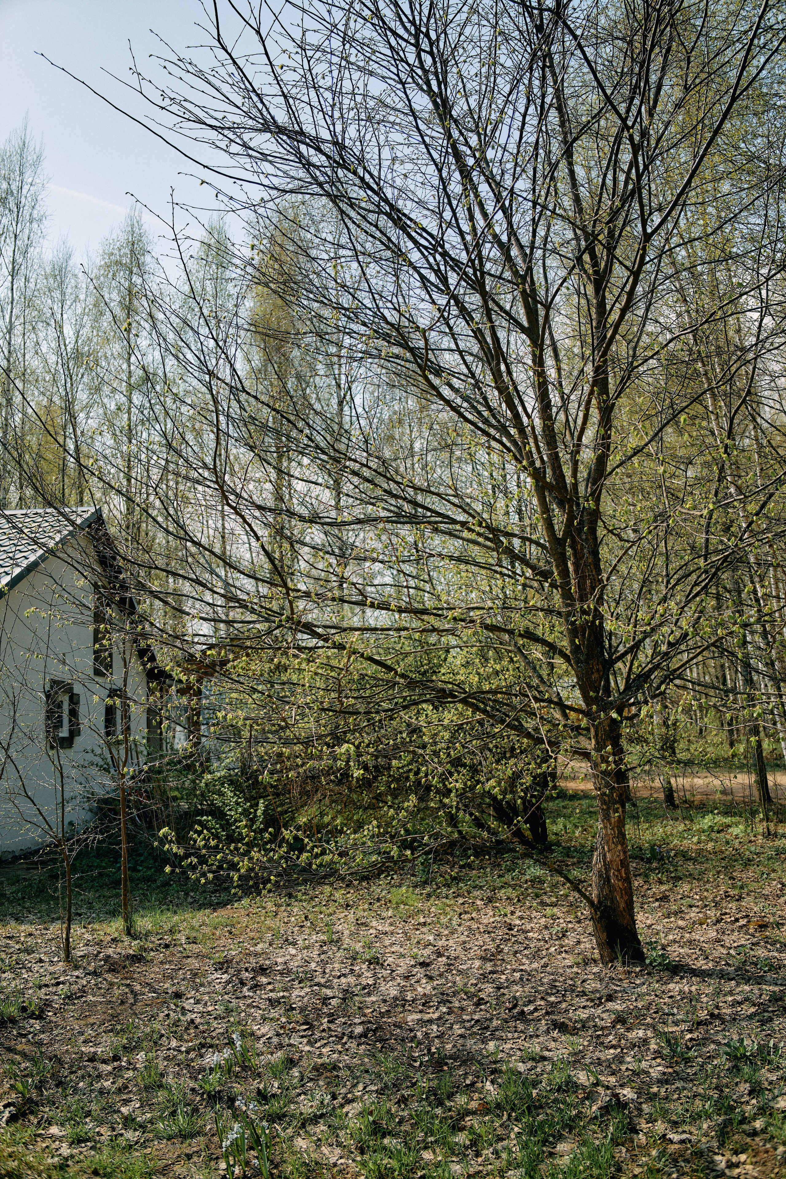 Бутик-отель Поле летом. Профессиональный Фотограф во Владимире, в Москве и в Суздале — Полина Романычева