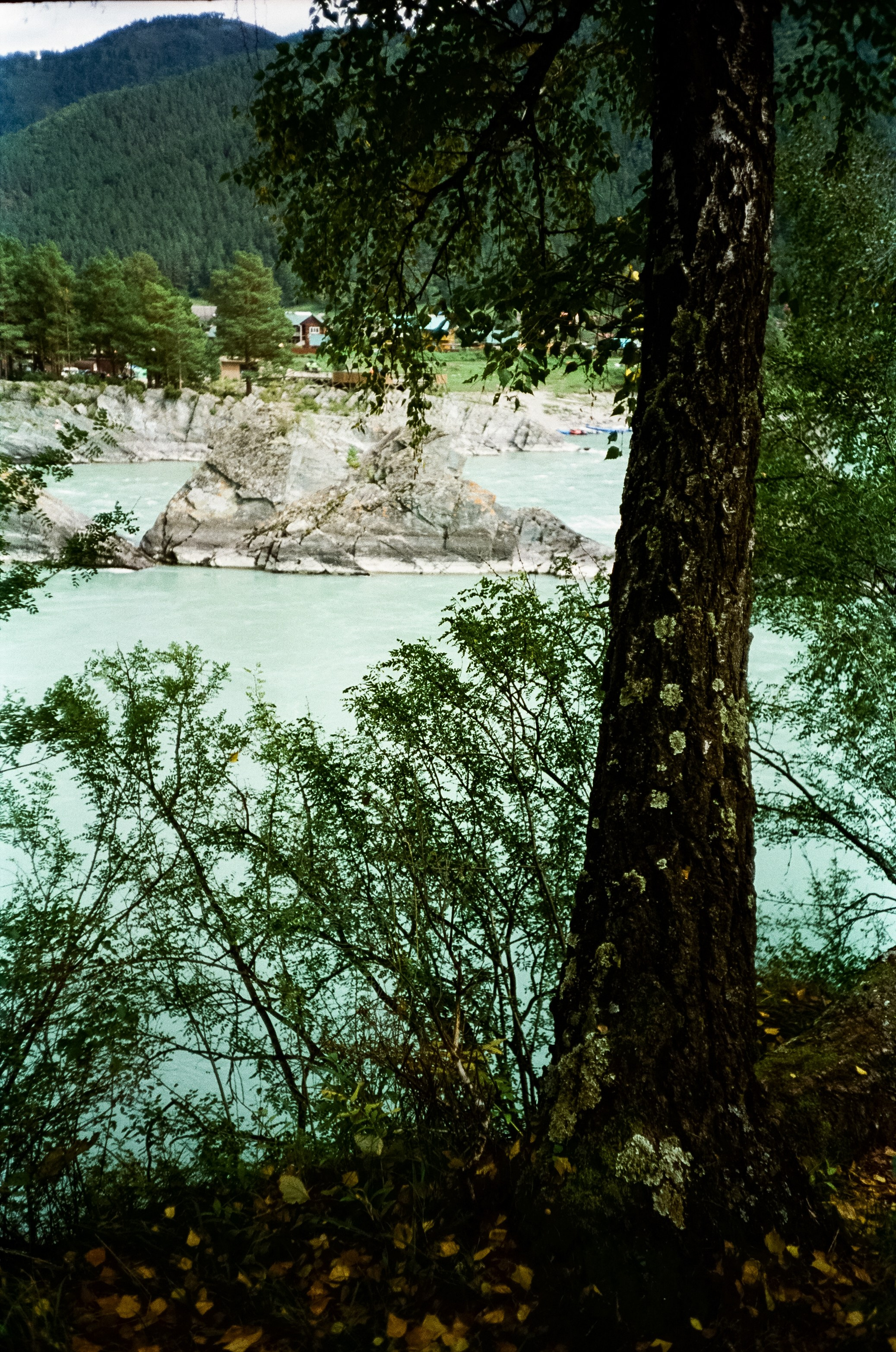 Зубы Дракона и солнечный подарок. Сад пионов. Фотограф-документалист Мария Осокина