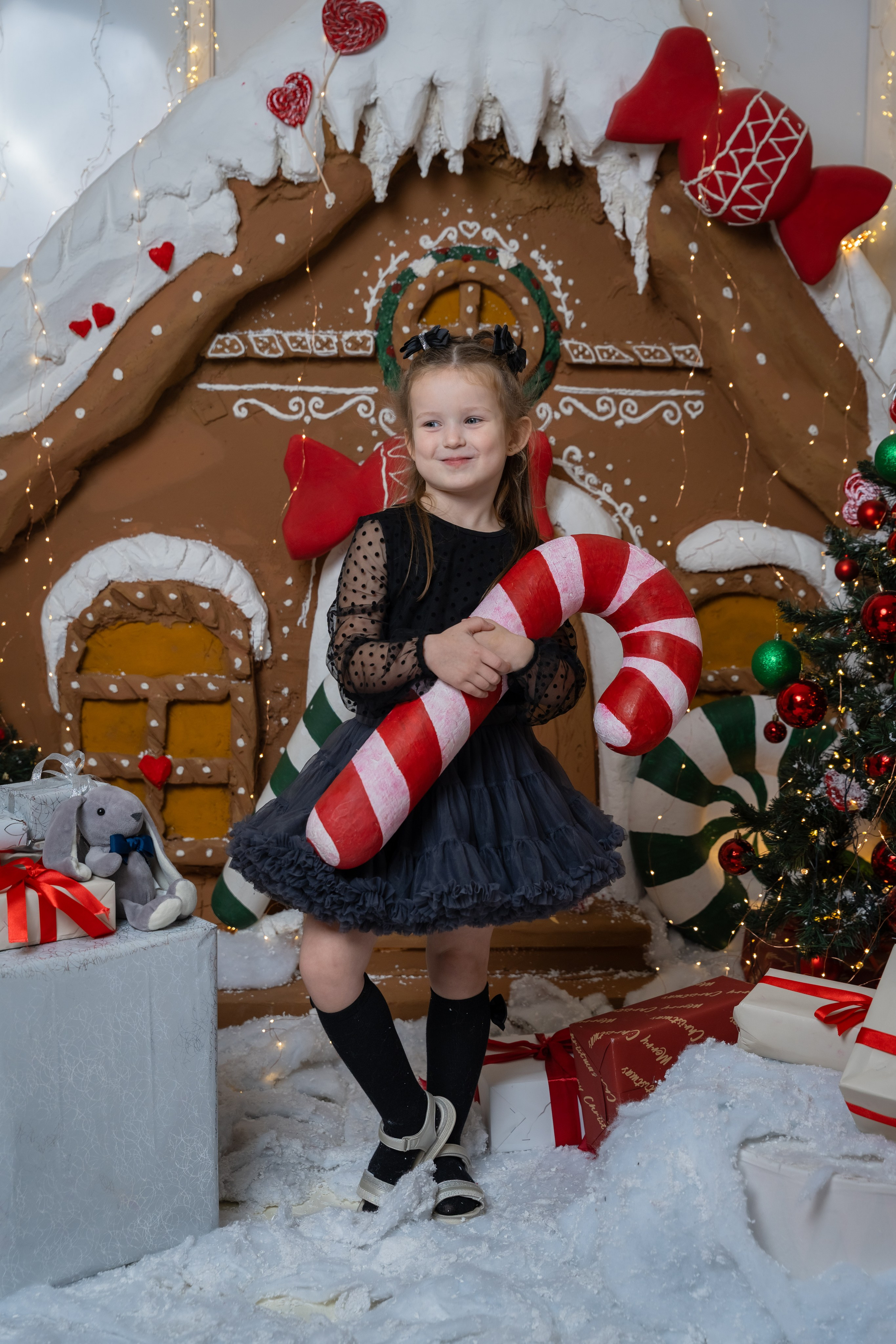 НОВОГОДНЯЯ СКАЗКА