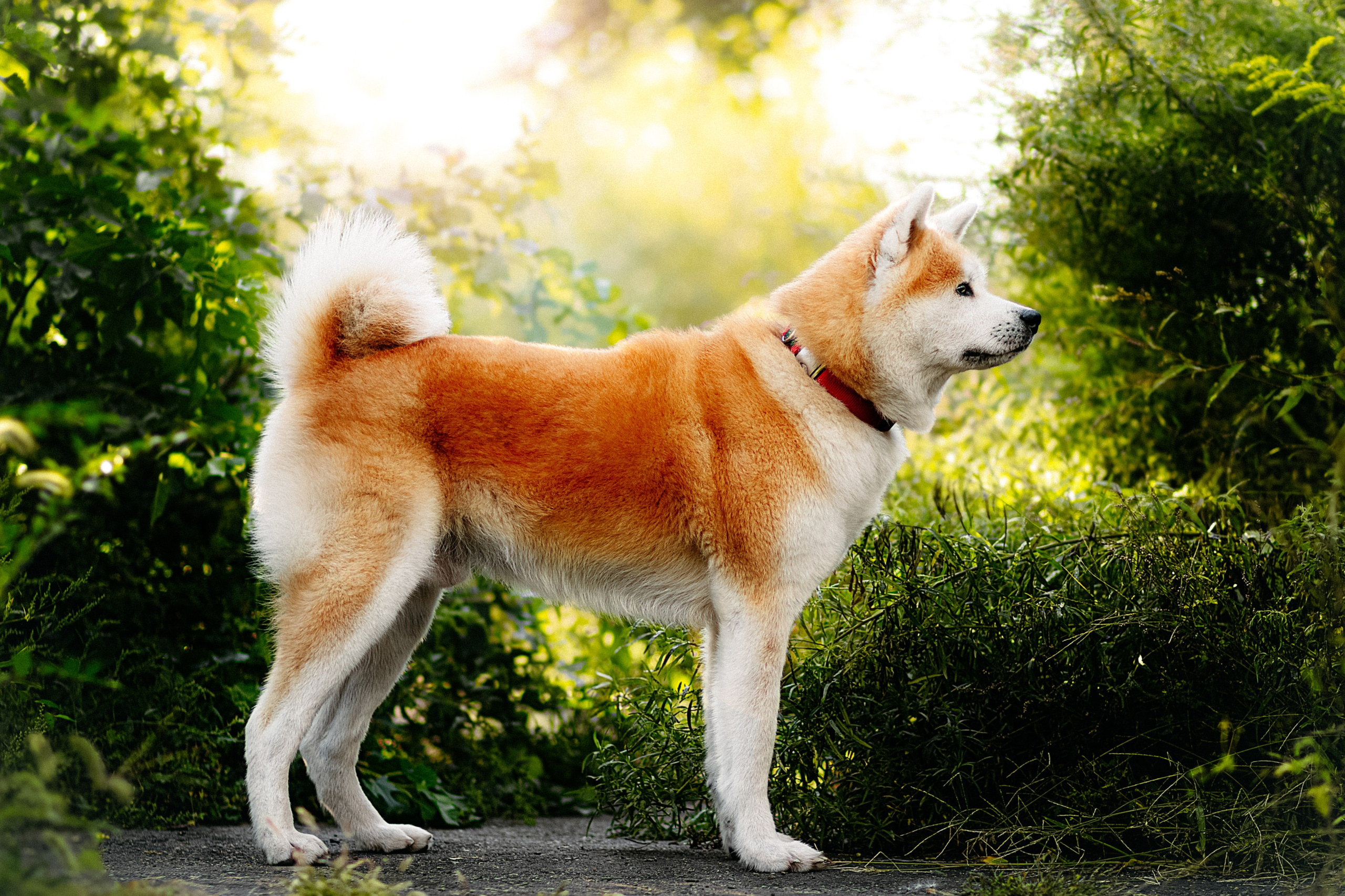 Вальтер. Фотограф в Арсеньеве