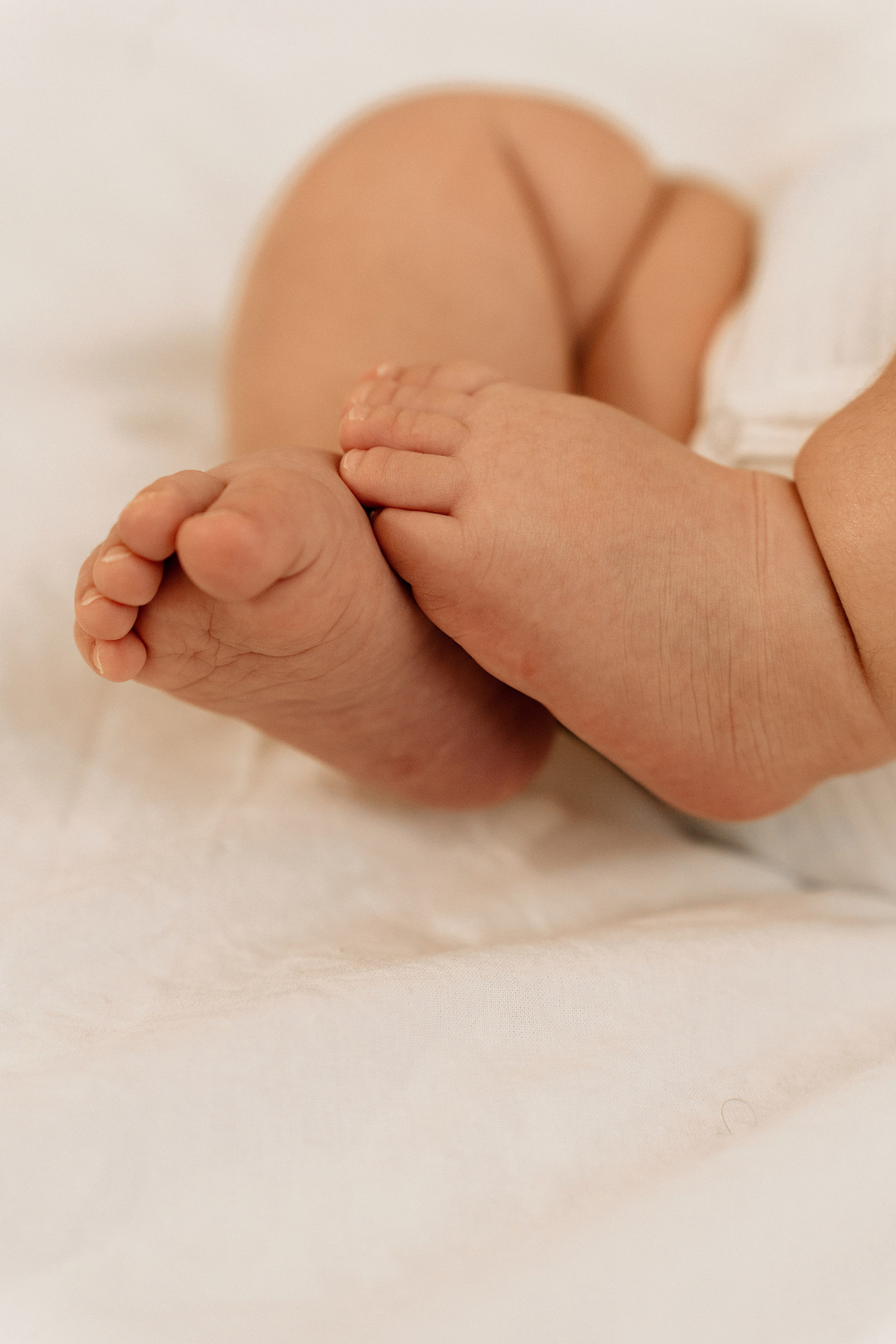 Уютная семейная фотосессия. Главная