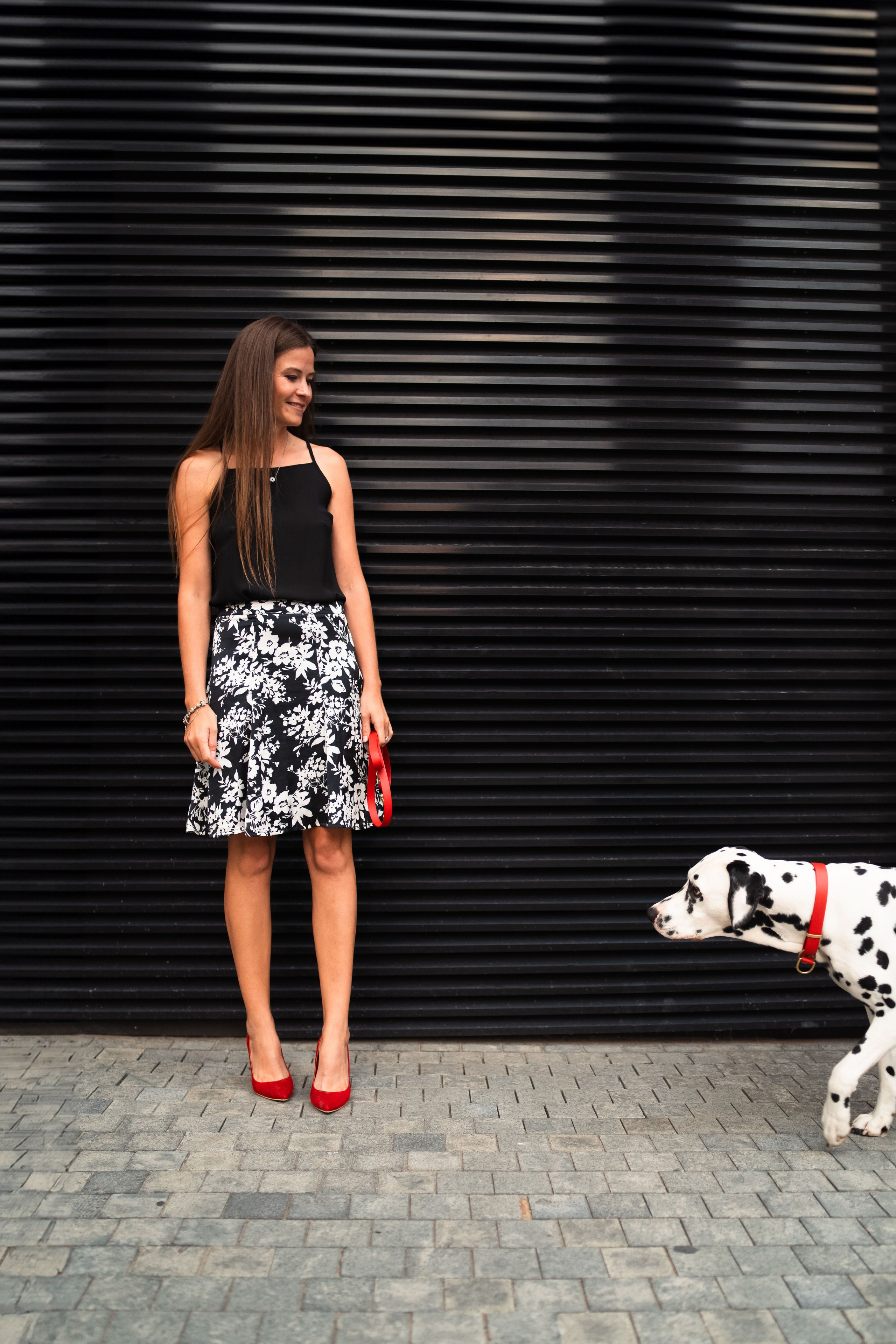 1 Далматин. Фотограф анималист