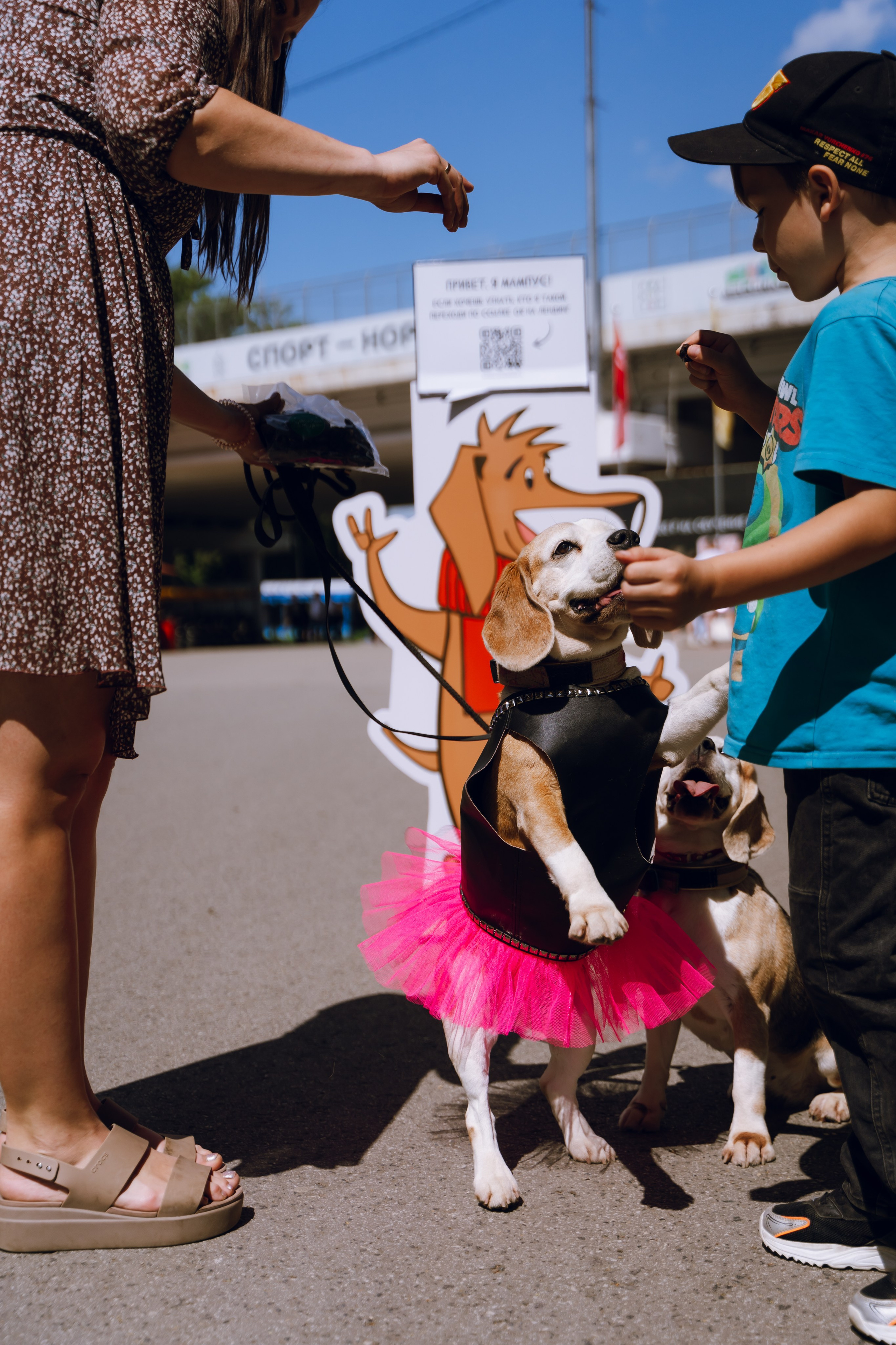 Площадка фестиваля «Мампус и его друзья» в Лесопарке 2025. Фотограф Надежда Погребняк | Рязань | Москва