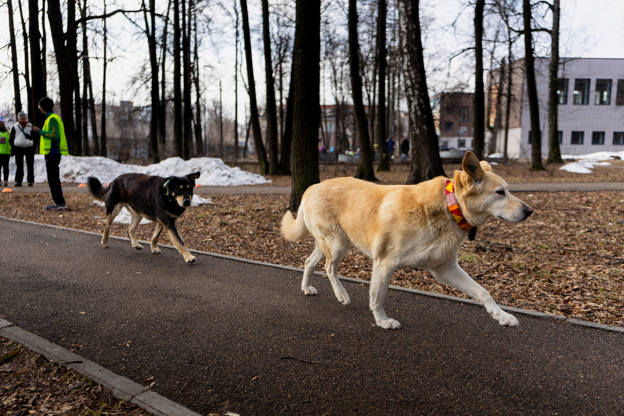 Беговой клуб 5 вёрст Зеленодольск. 11 апреля 2026. Спортивный, репортажный и портретный фотограф в Казани Алексей Горячев
