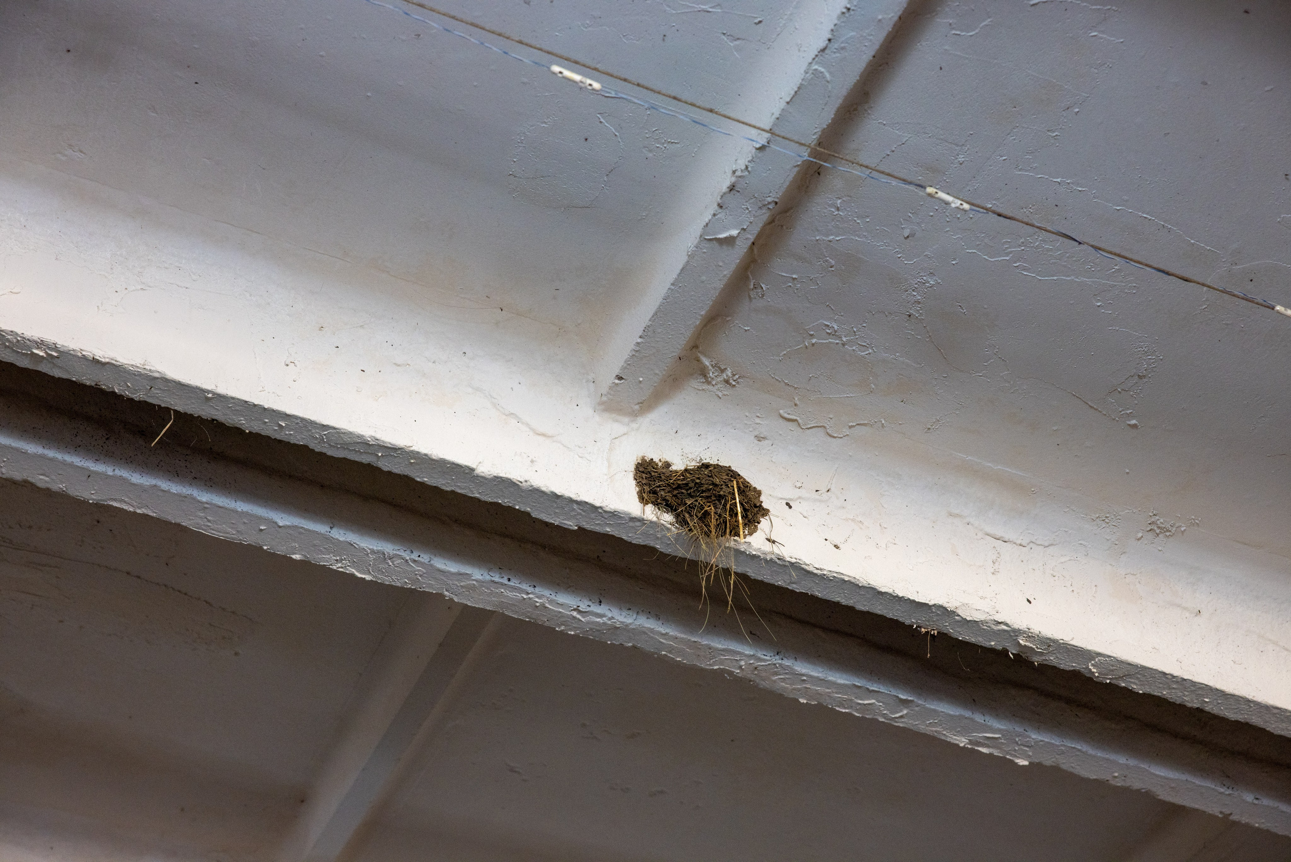 Поездка на поле Кулеково. Фотограф в Туле Крупский АнДРей. Фотостудия «КАДР71» в Туле