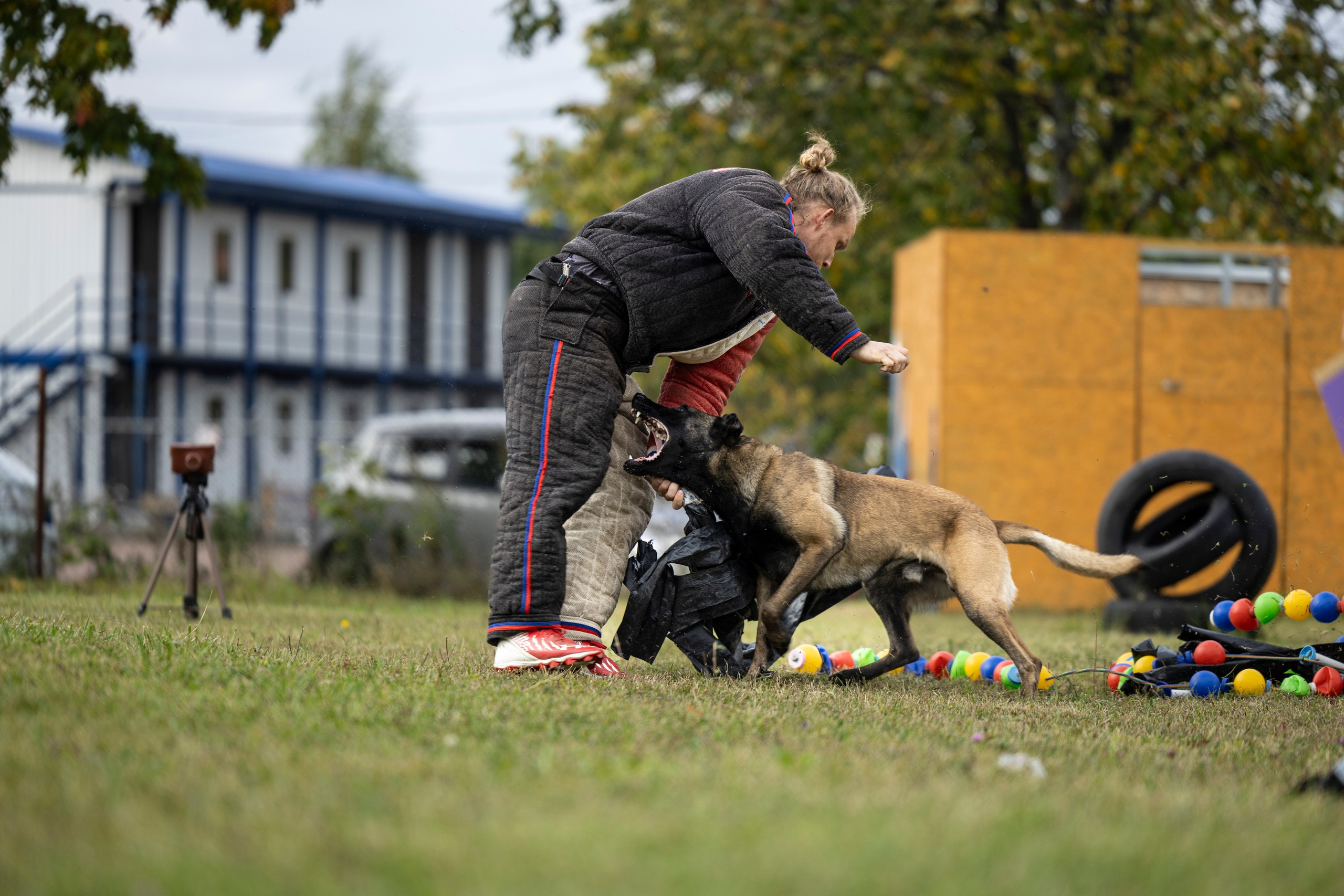 Испытания по Мондьорингу г. Пушкин. Фотограф-анималист Анна Маринич