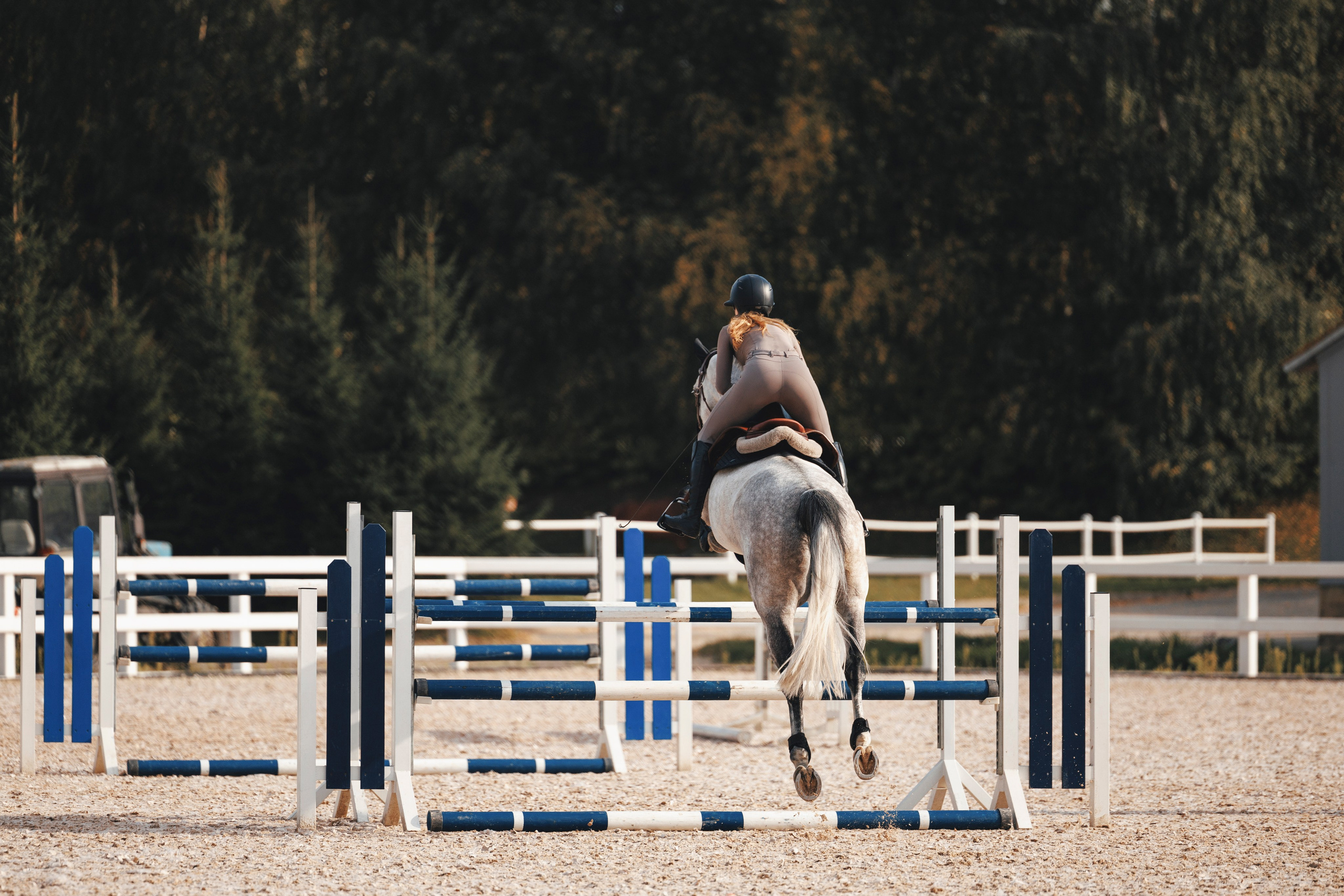 Конкур. Фотограф-анималист Анна Маринич