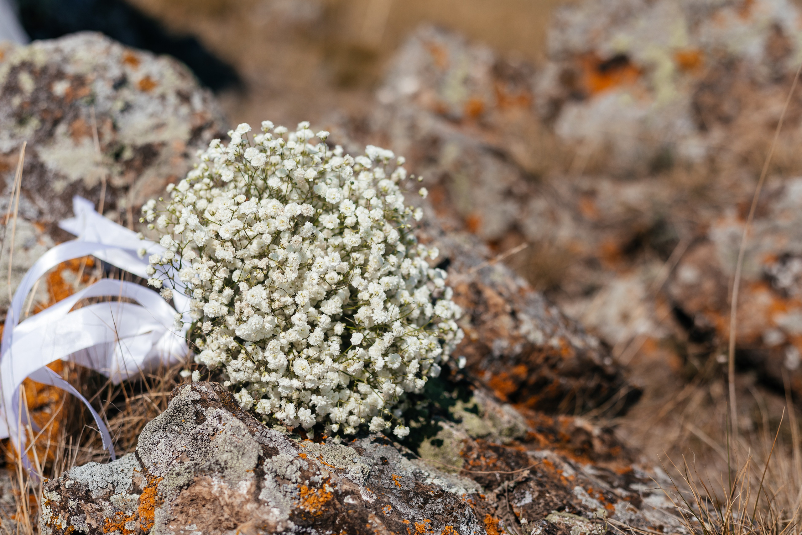 Карина и Николай. Свадебный фотограф Абакан