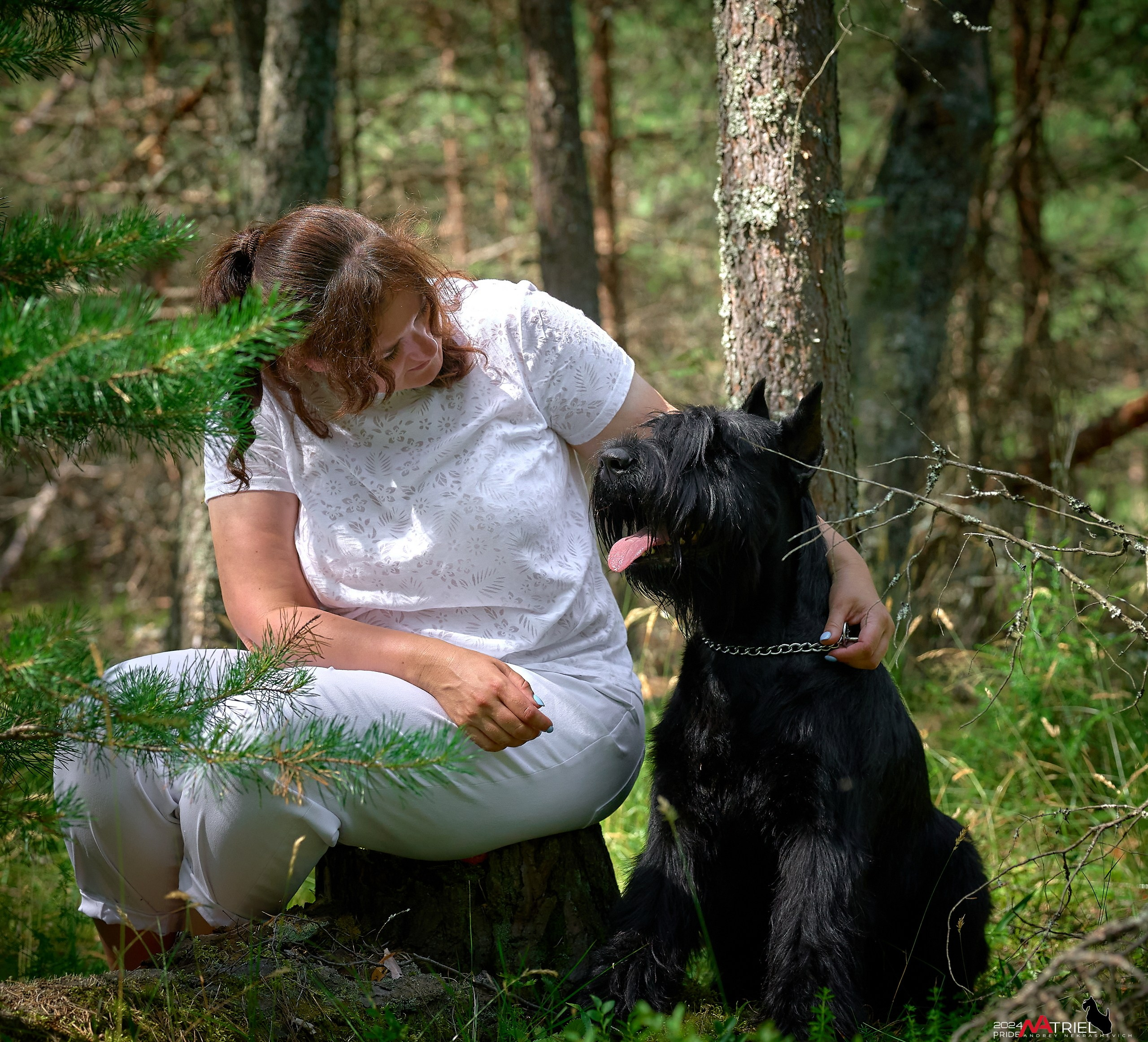 Репортаж из кинологического лагеря