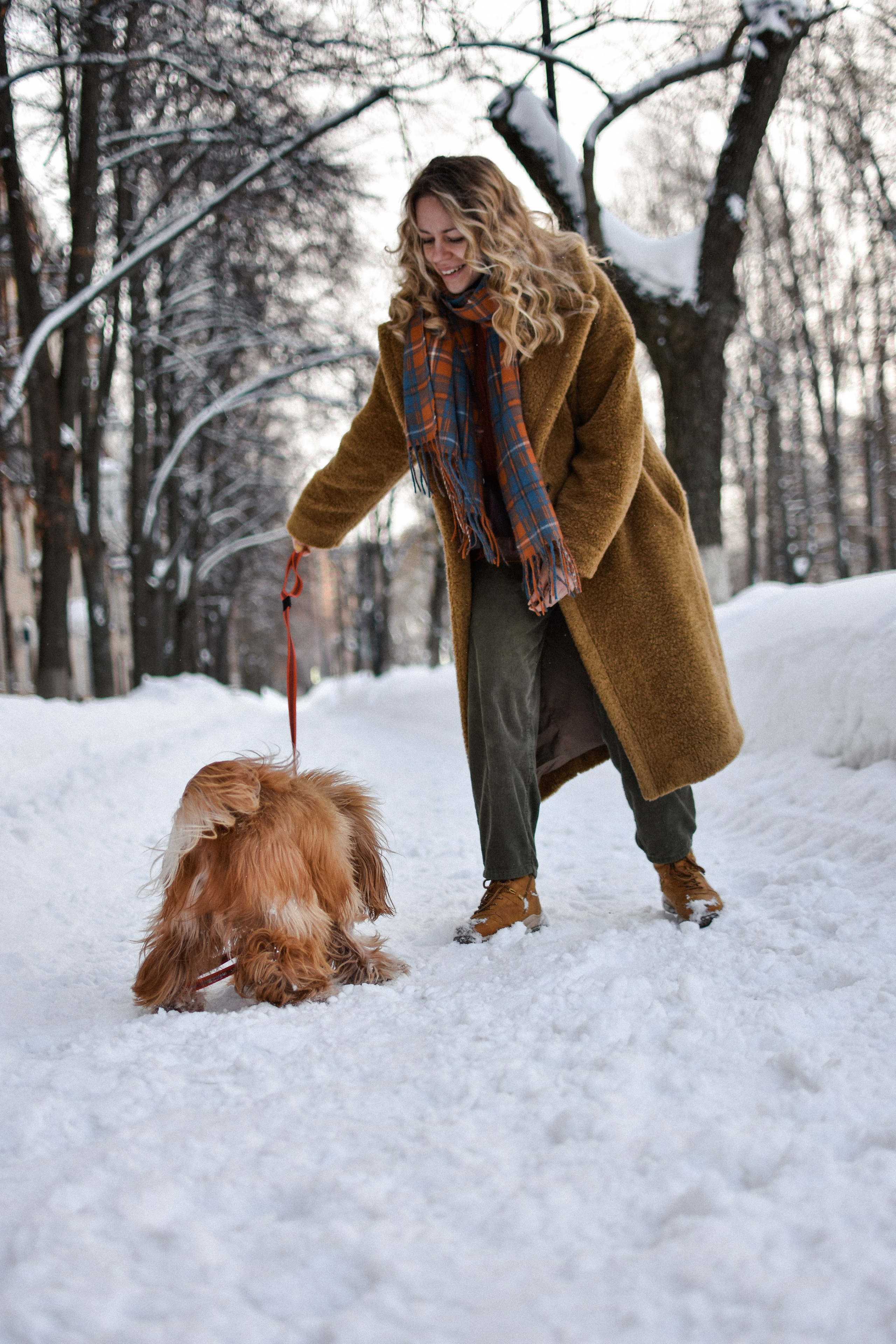 Мира и Даша. Фотограф-анималист Ксения Шевцова|Москва