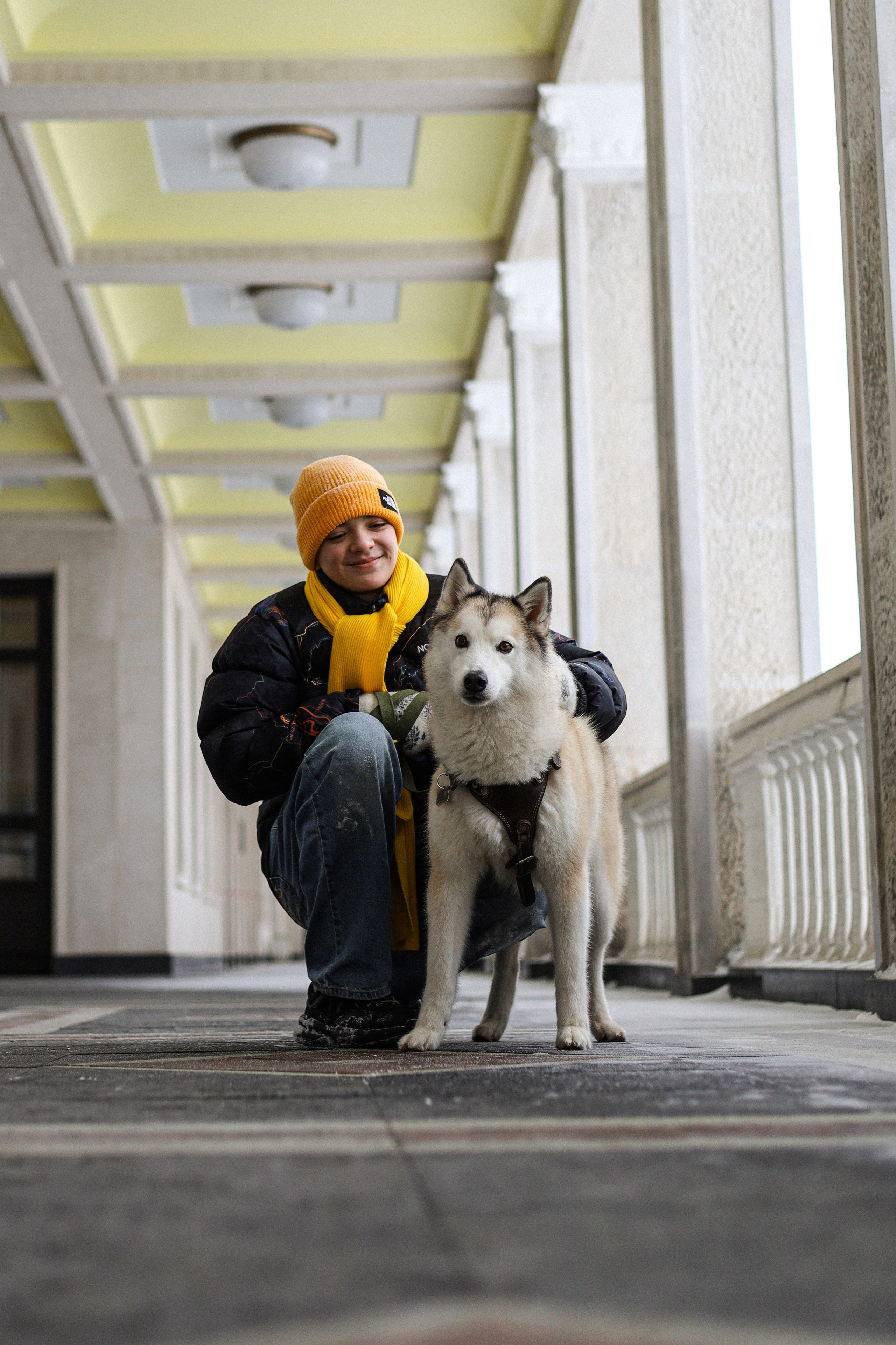 Мила, Лиза и Матвей. Фотограф-анималист Ксения Шевцова|Москва