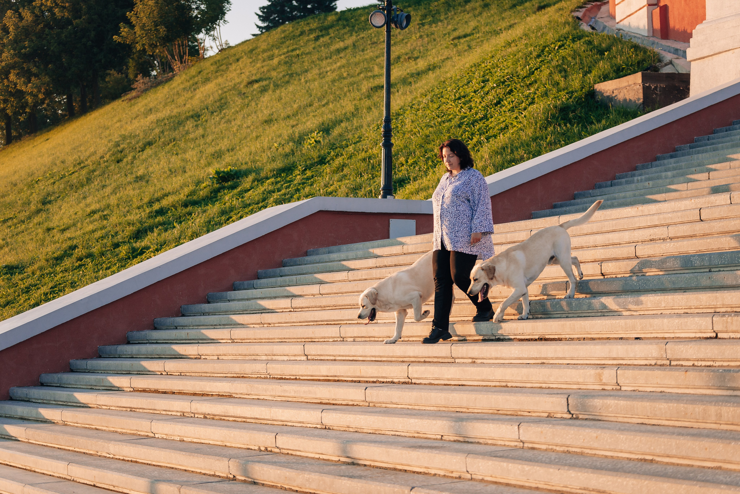 Екатерина, Урал и Бест. Фотограф-анималист Анастасия Парфенова|Екатеринбург