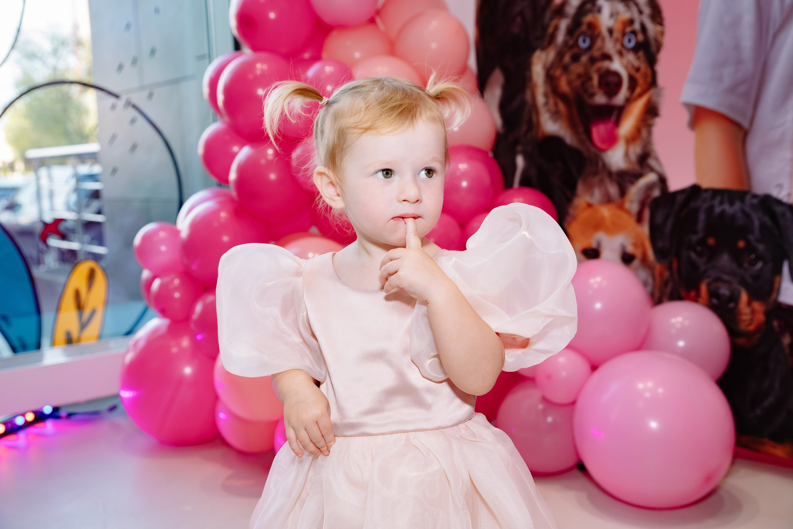 С Днем Рождения, Варвара!. Фотограф в Москве Яна Полосина