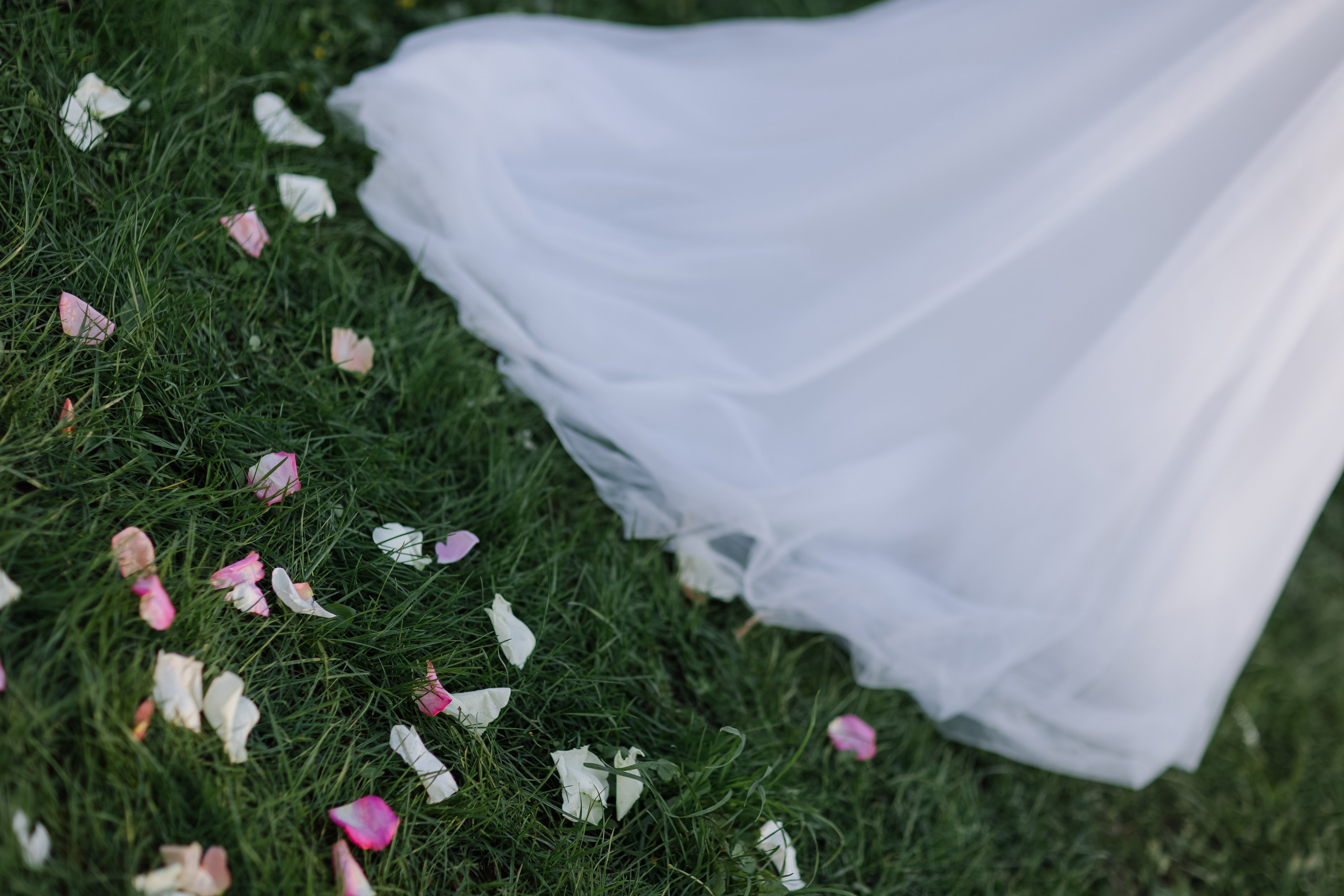 Виталий/Алеся. Свадебный фотограф