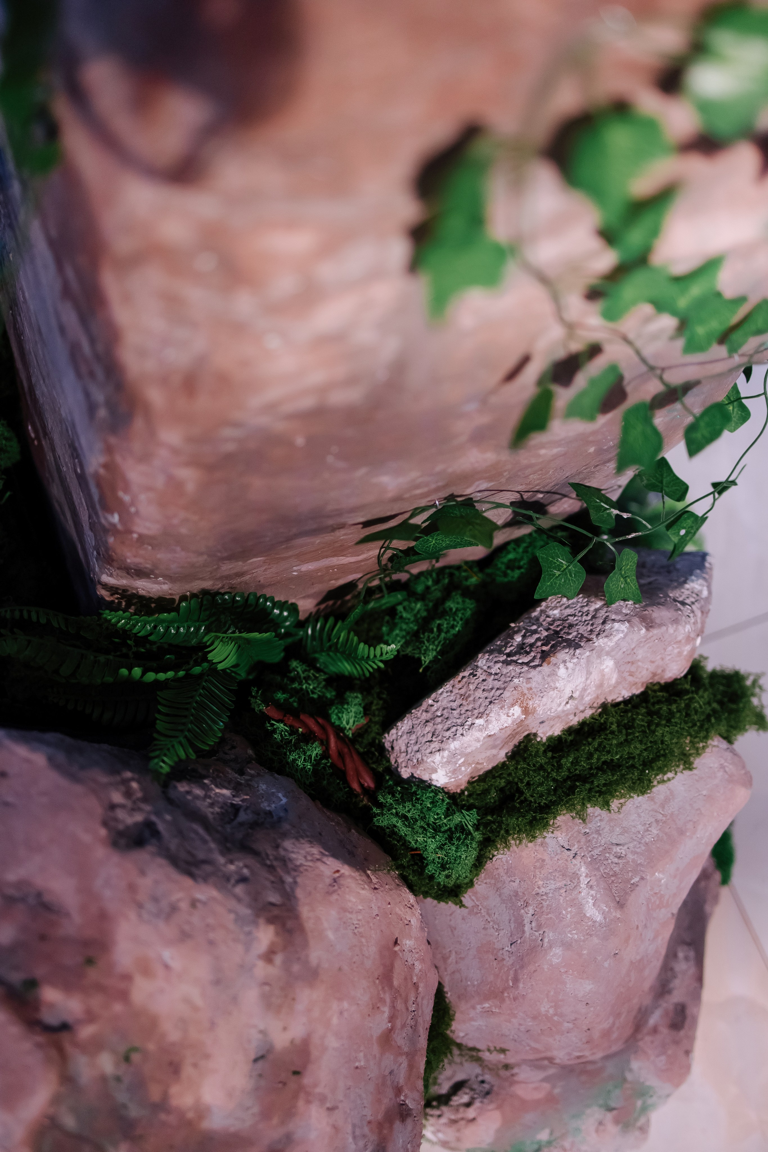 Шоу тортов 2. Свадебный фотограф