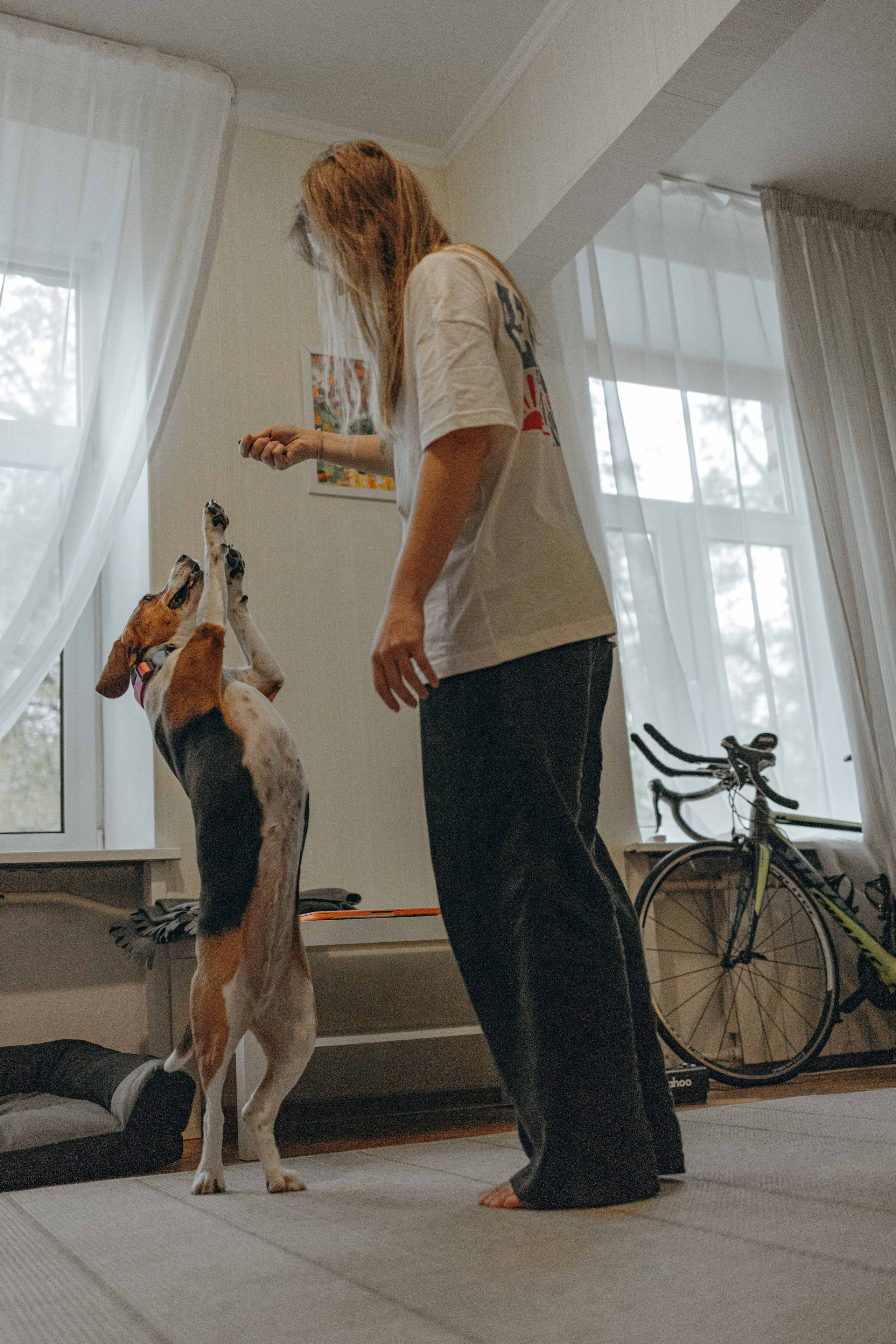 Света и Ива. Фотограф-анималист в Москве Лера Черноног