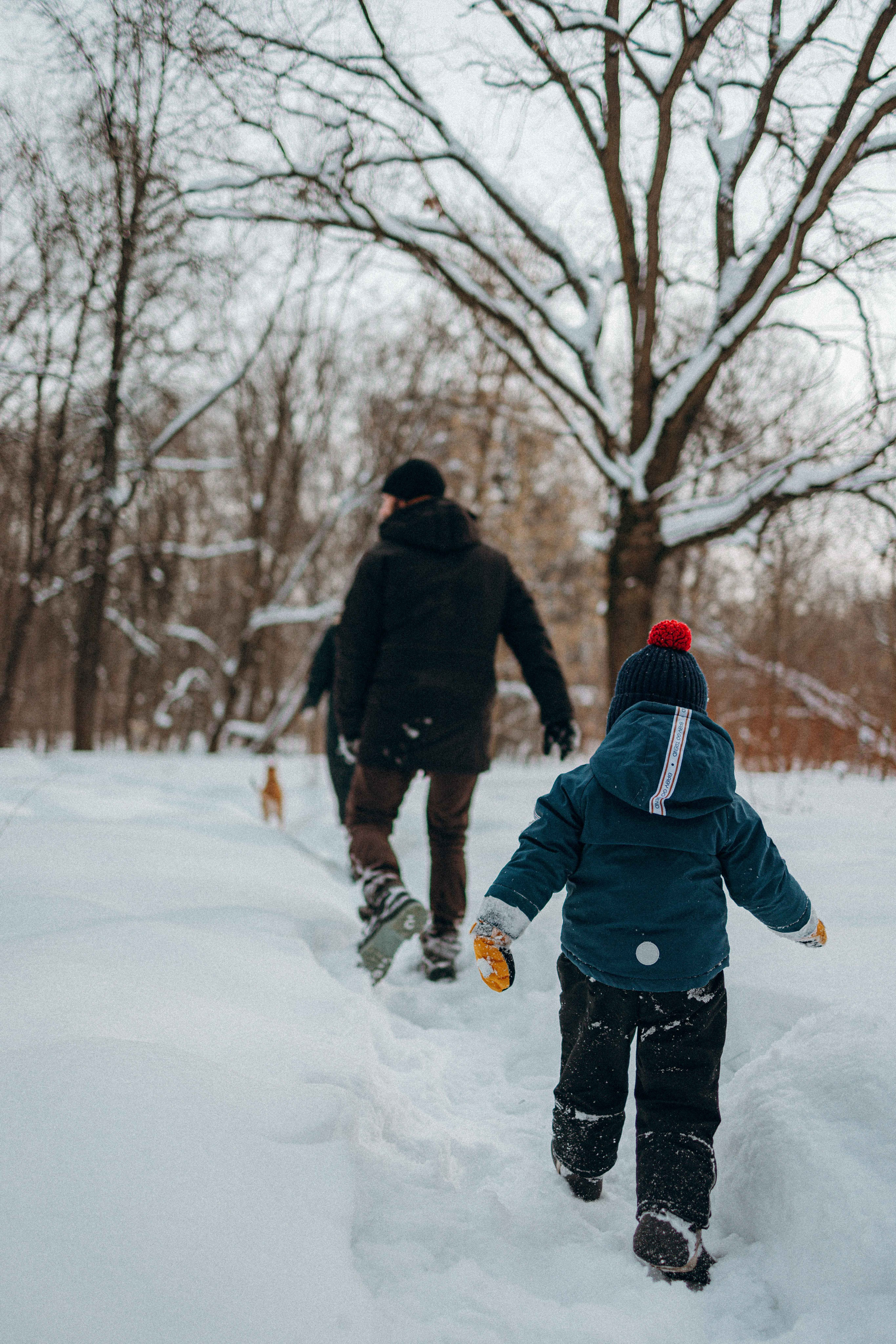 Свобода и ее семья. Фотограф-анималист в Москве Лера Черноног