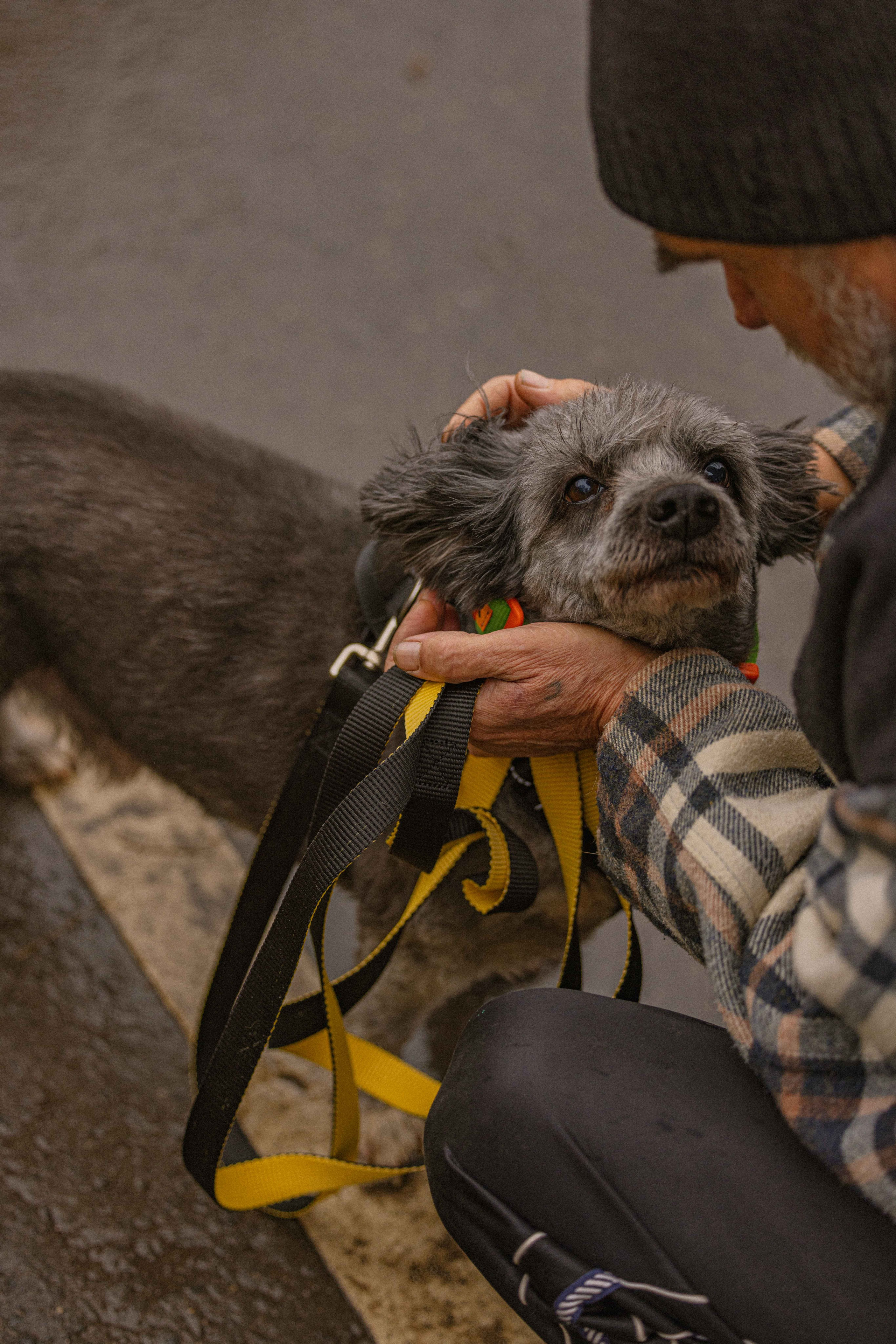 Передержка. Фотограф-анималист в Москве Лера Черноног