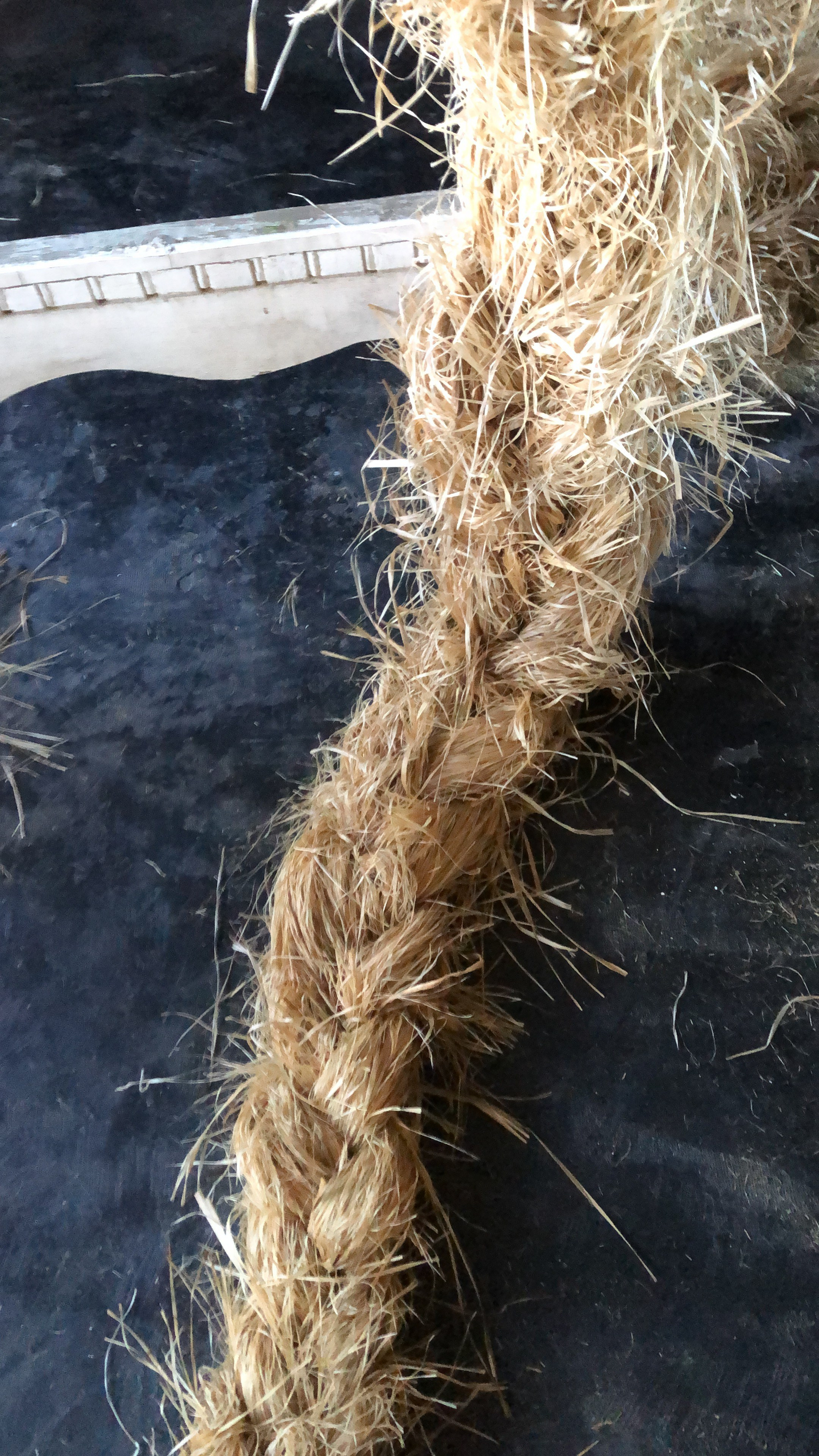 Фотостудия МОХ зал Тьма. Фотограф Настя Лев