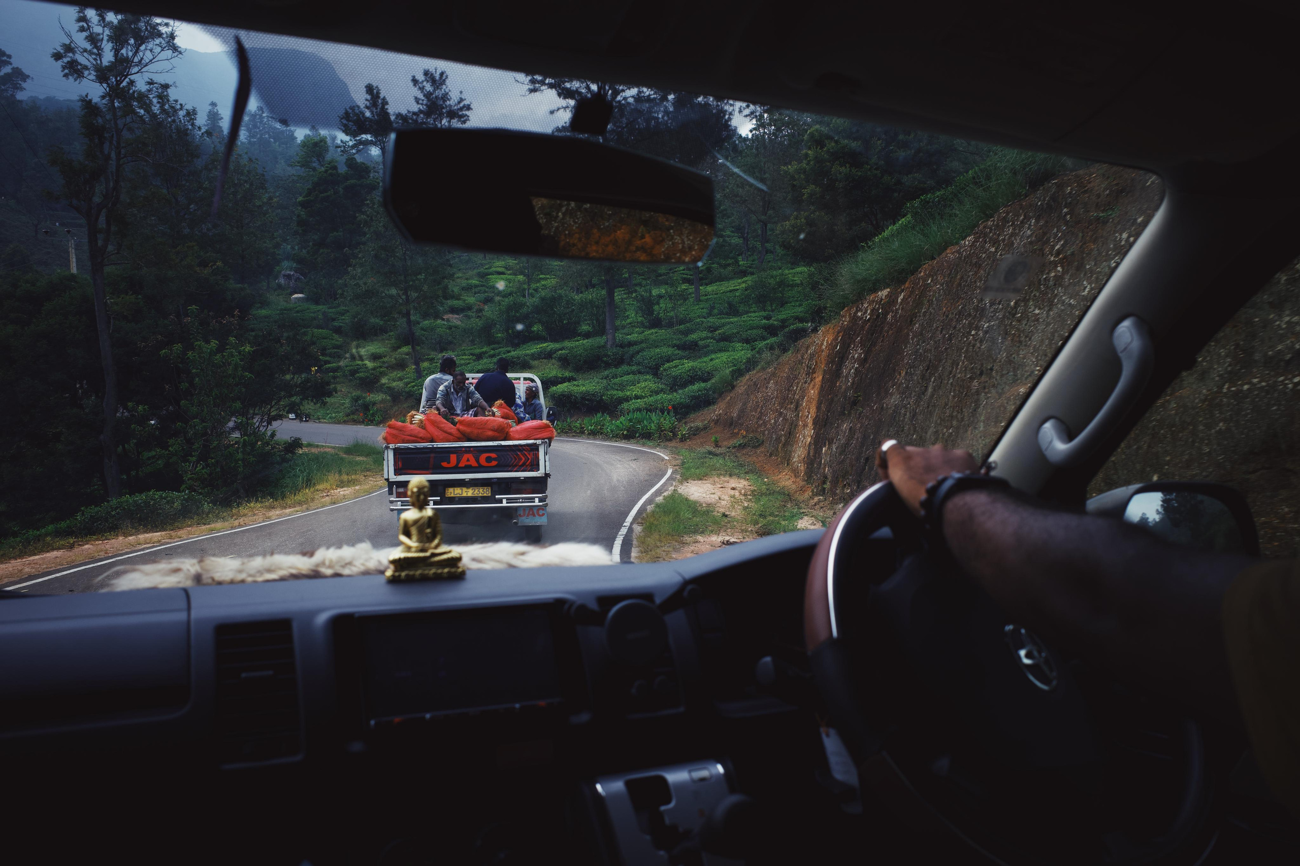 Sri-Lanka. Фотограф в Москве Светлана Некрасова