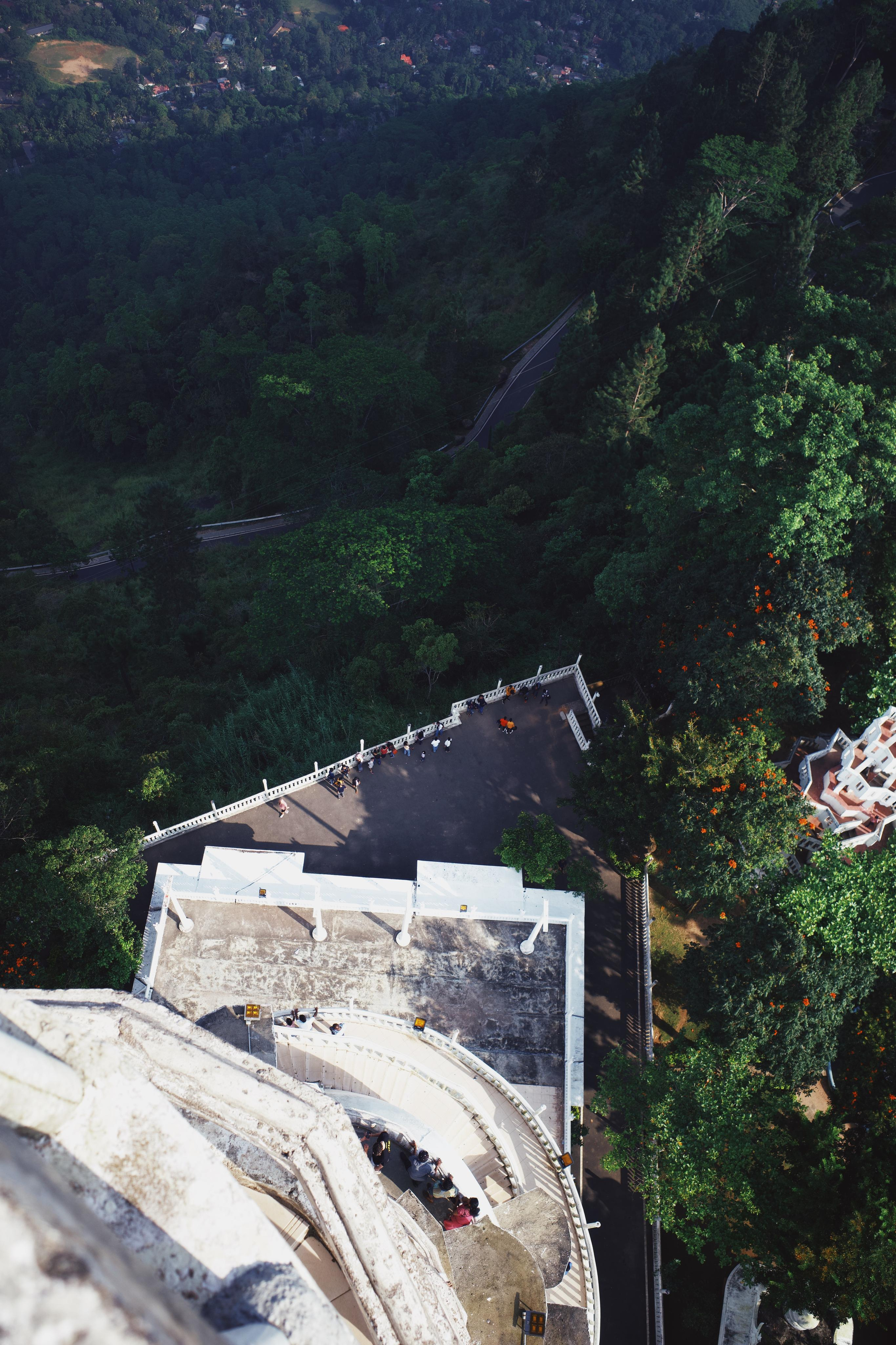 Sri-Lanka. Фотограф в Москве Светлана Некрасова
