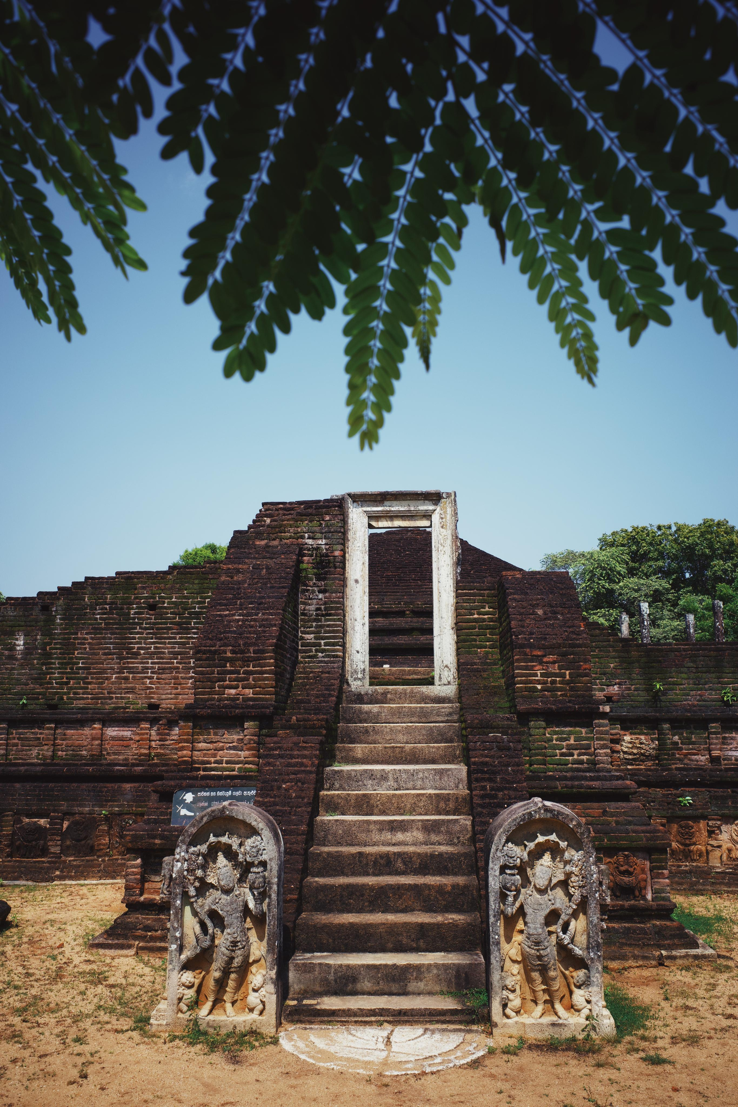 Sri-Lanka. Фотограф в Москве Светлана Некрасова