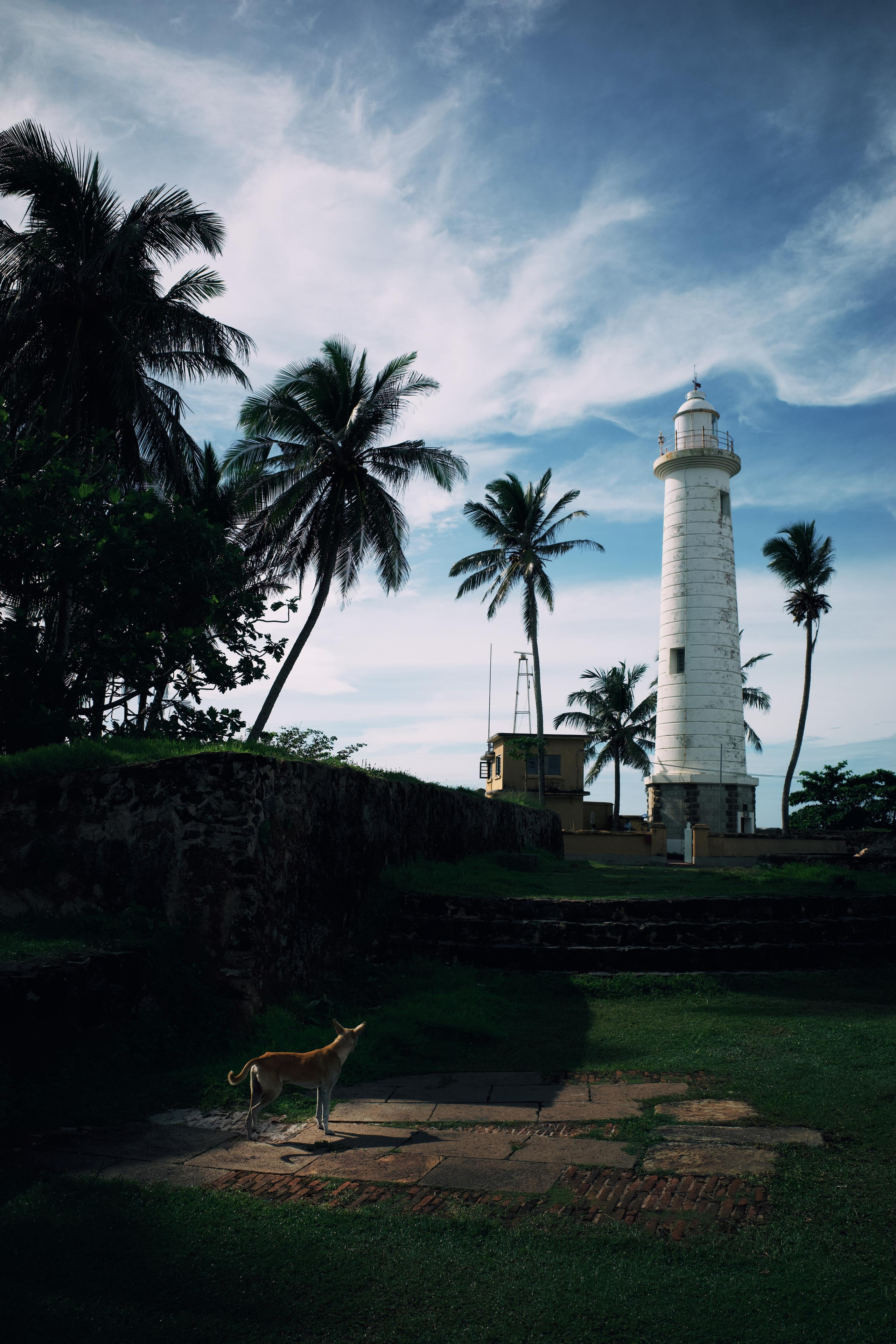 Sri-Lanka. Фотограф в Москве Светлана Некрасова