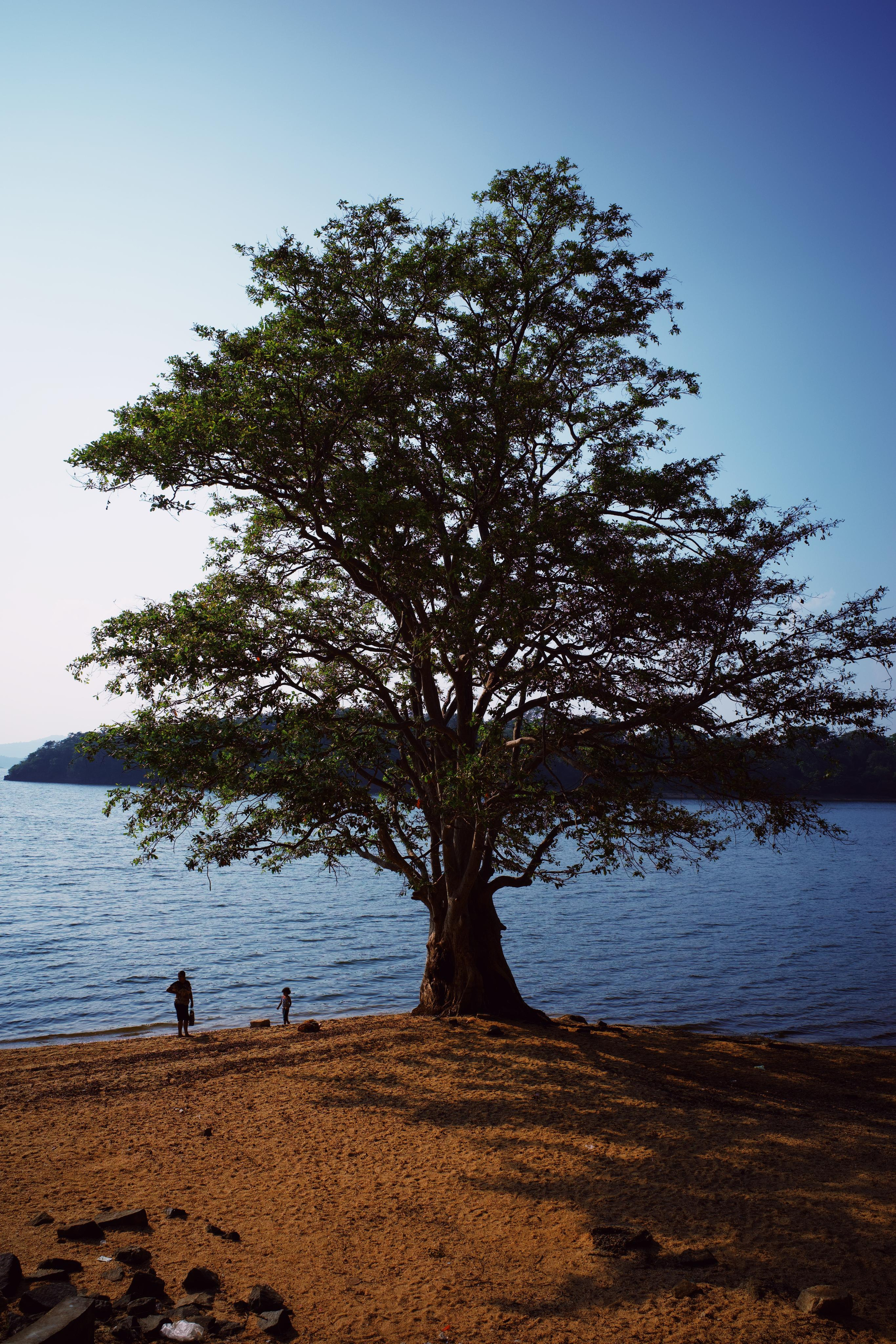 Sri-Lanka. Фотограф в Москве Светлана Некрасова