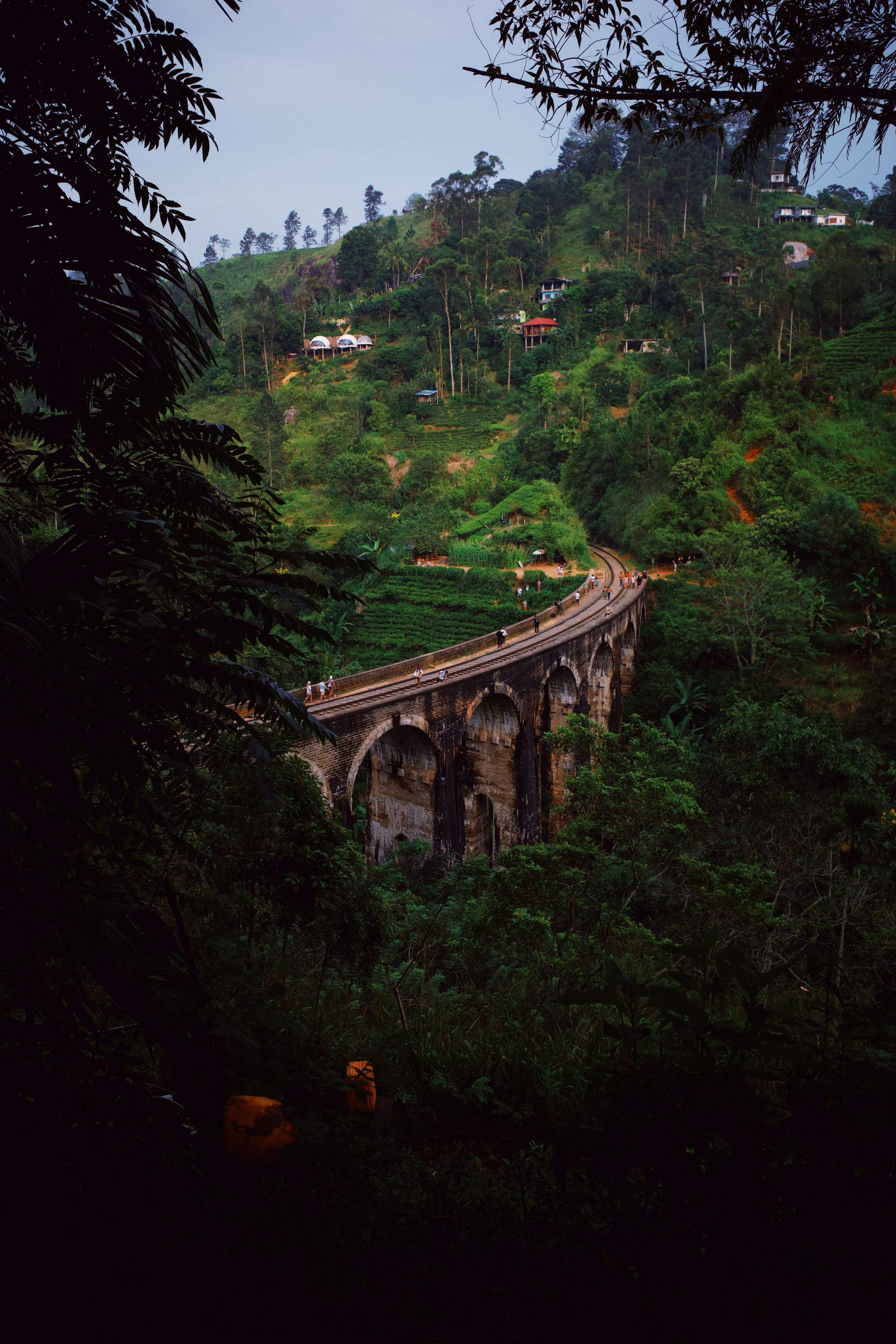 Sri-Lanka. Фотограф в Москве Светлана Некрасова