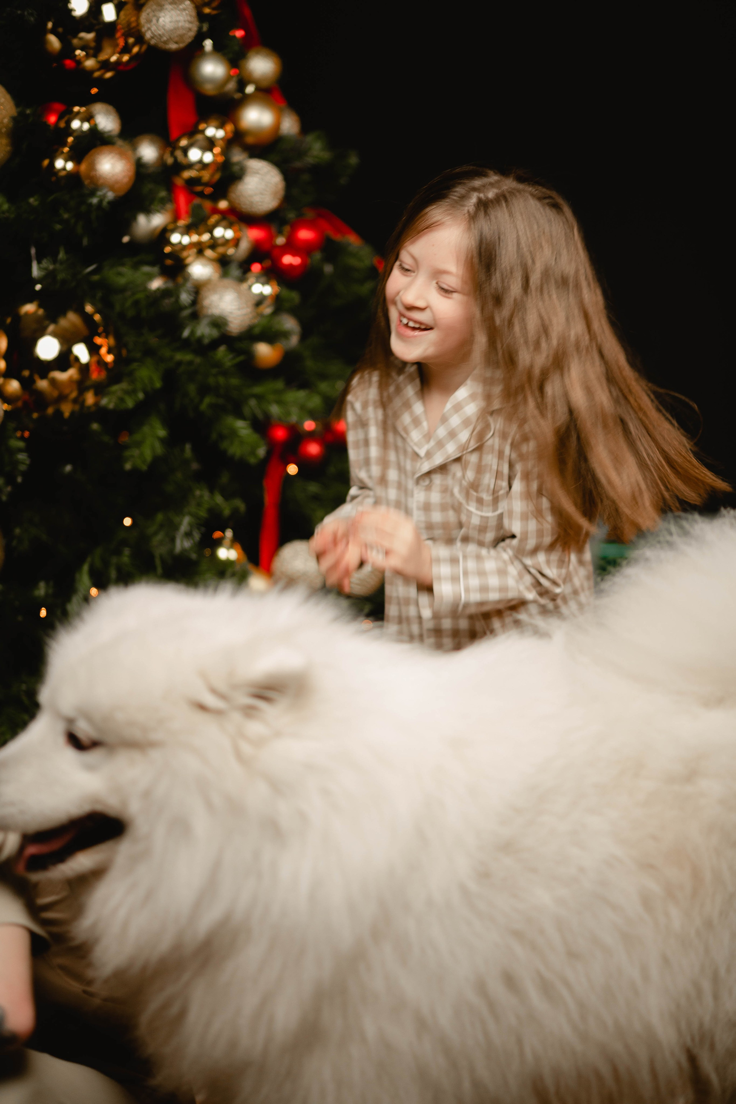 Семья Трегубовых. Портретный и свадебный фотограф в Йошкар-Оле Егошина Екатерина