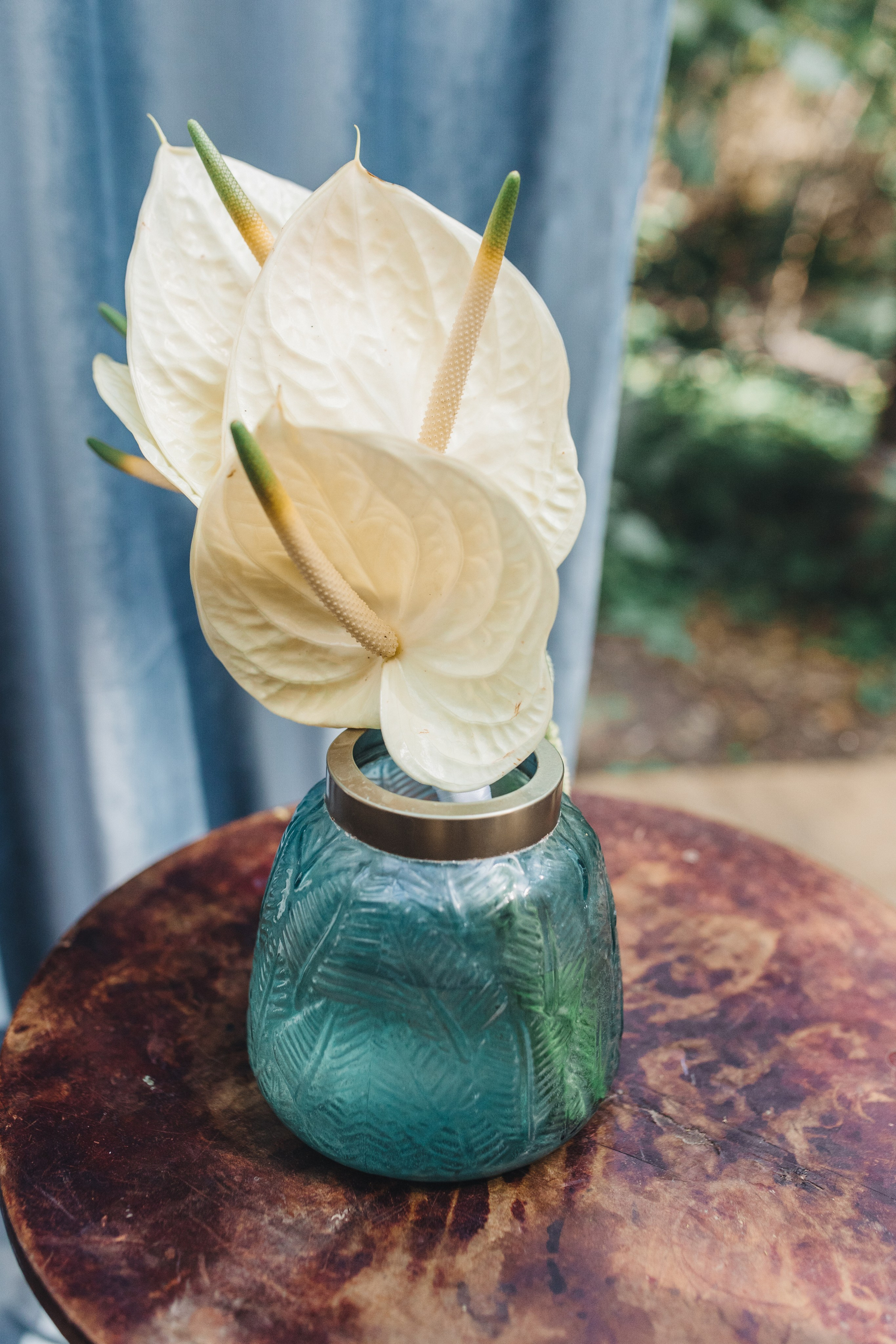 Артур и Жанна. Wedding and family photography Adamians