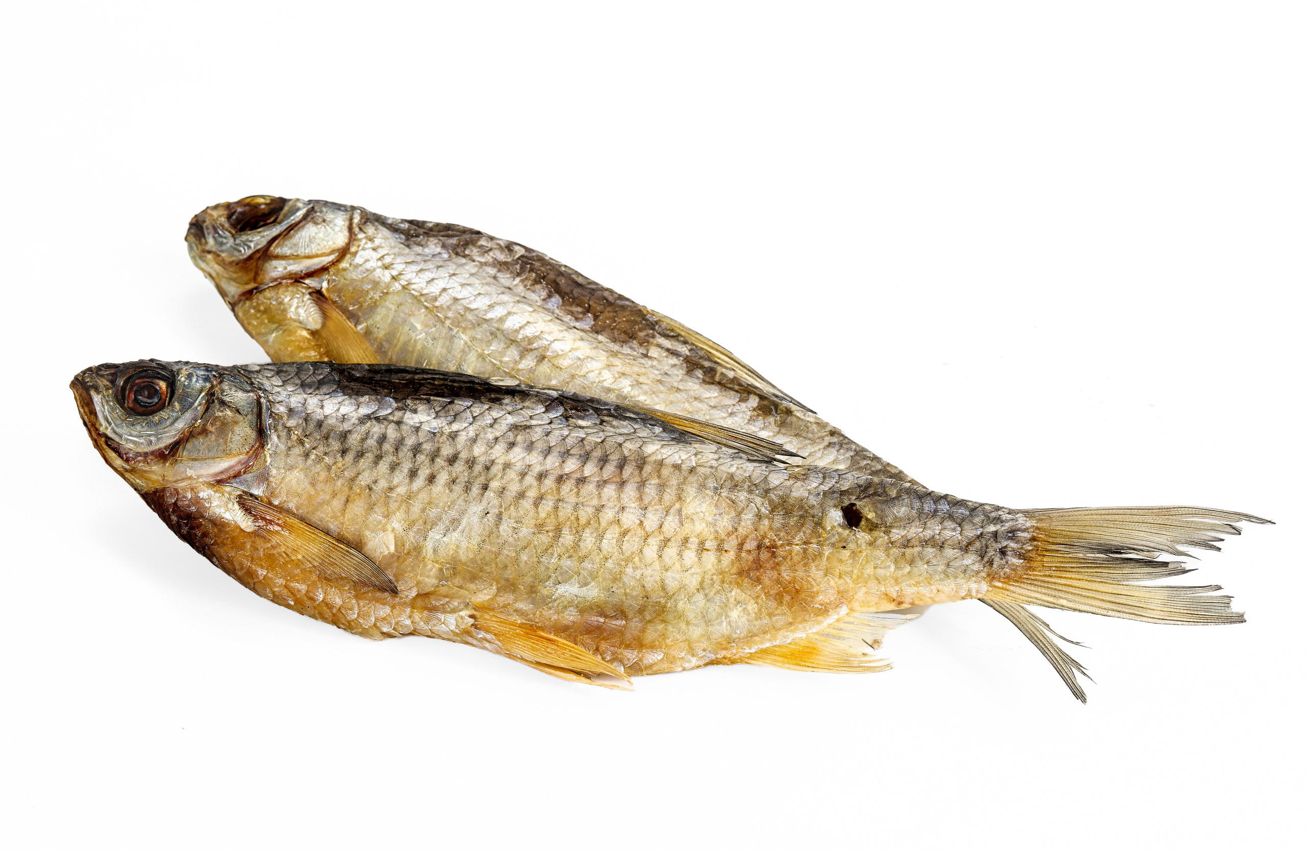 Съемка рыбы и морепродуктов для производства. Фуд-фотограф Андрей Старостин — съемка еды в Москве. 9000 руб. в час