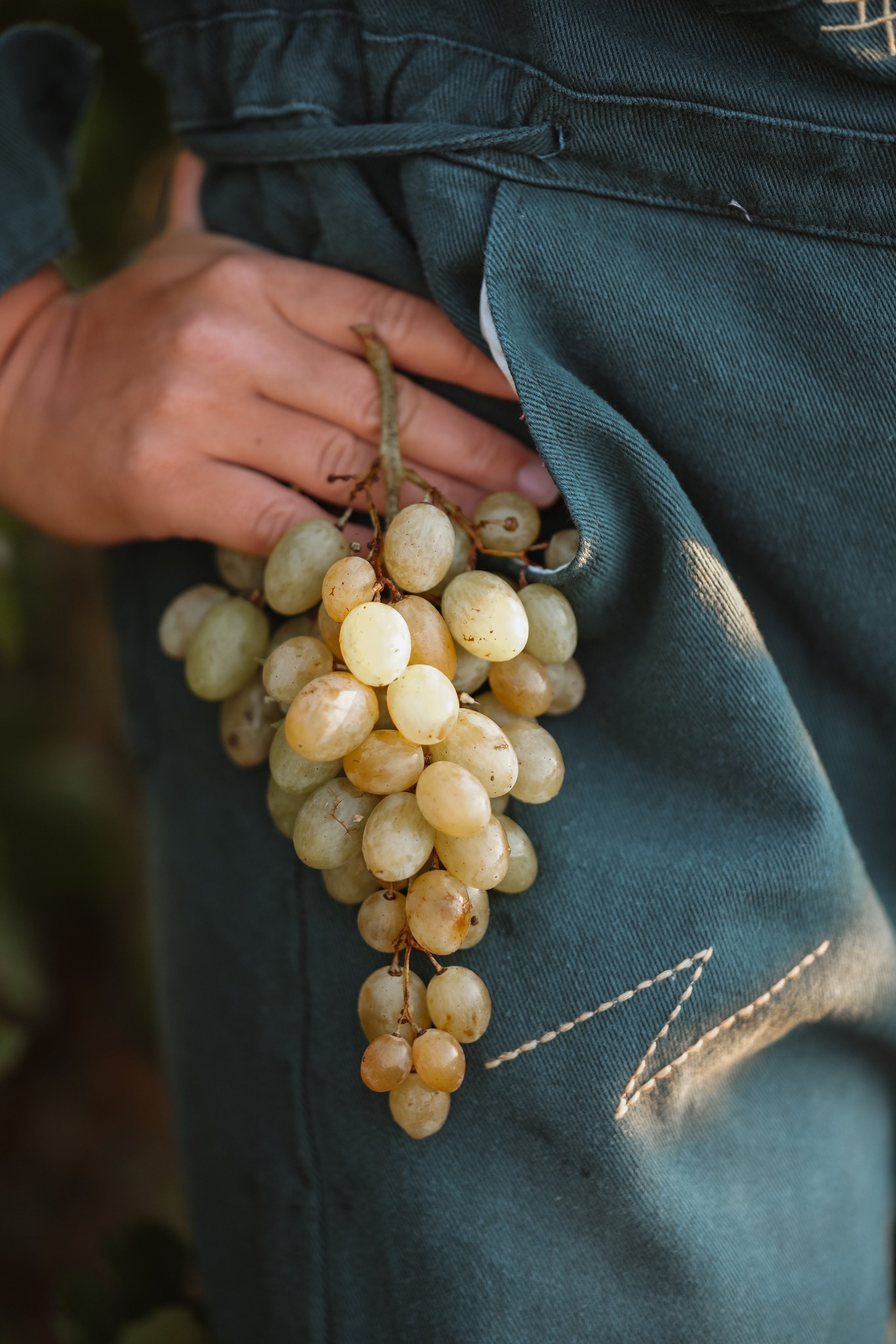 Мишель!. Фотограф новорожденных в Брянске Анжелика Прохоренкова