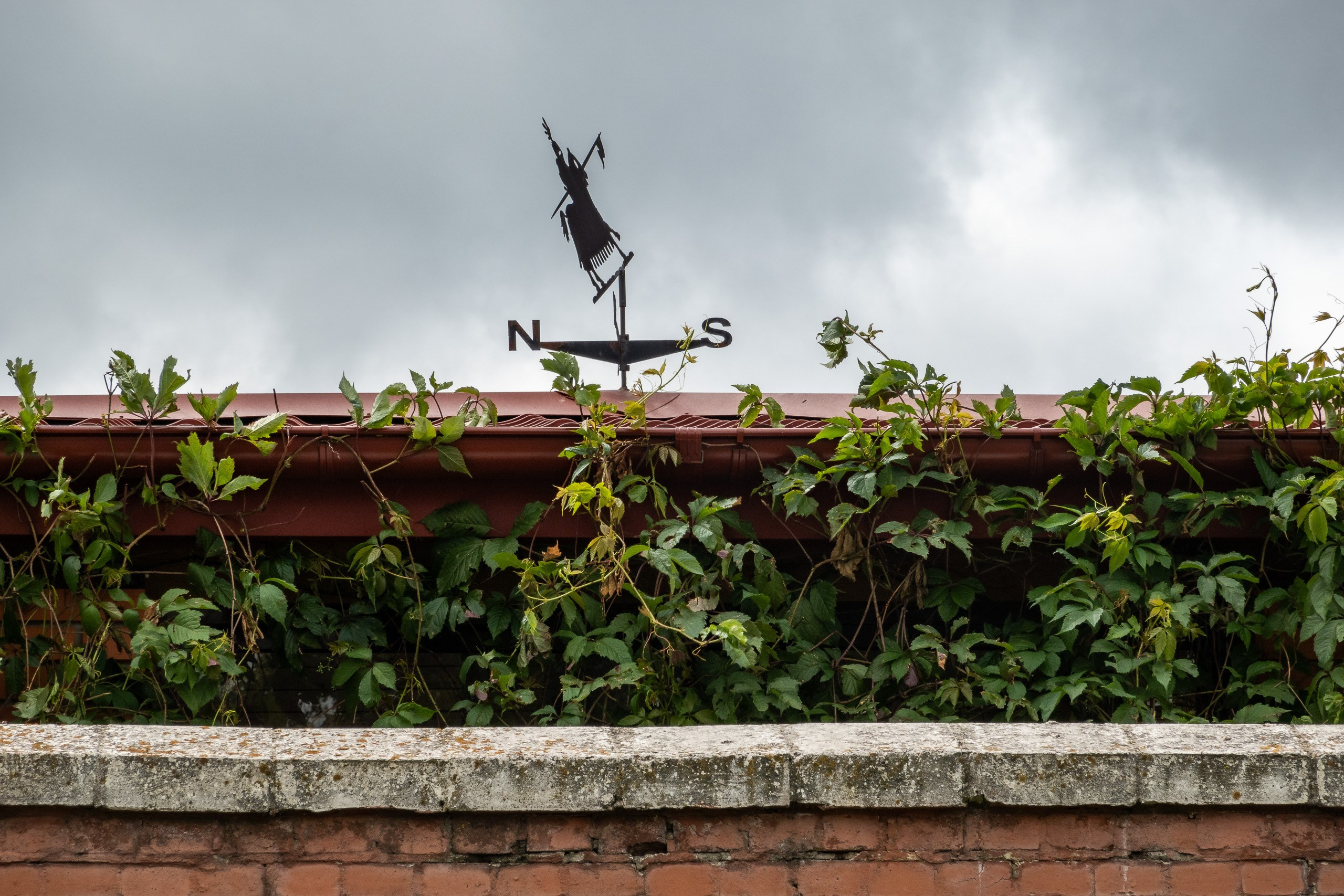 Коломенский кремль и старый город. Пейзажный фотограф Сергей Пестерев. Фото природы