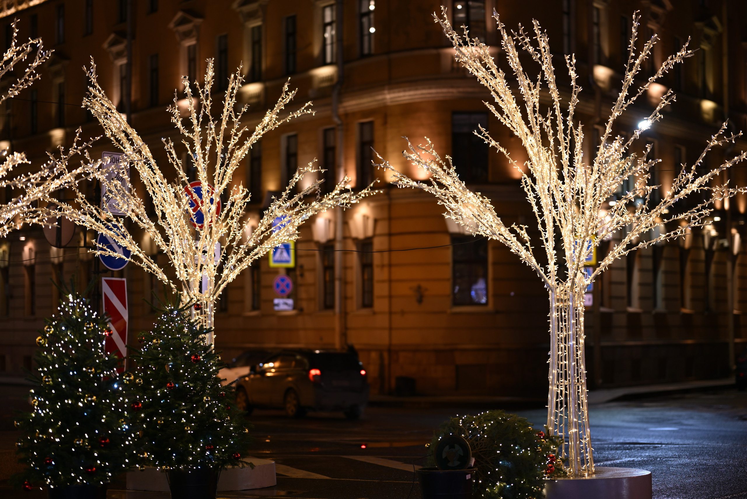 2025-2026 Санкт-Петербург. Фотосессии в центре и в парках Санкт-Петербурга