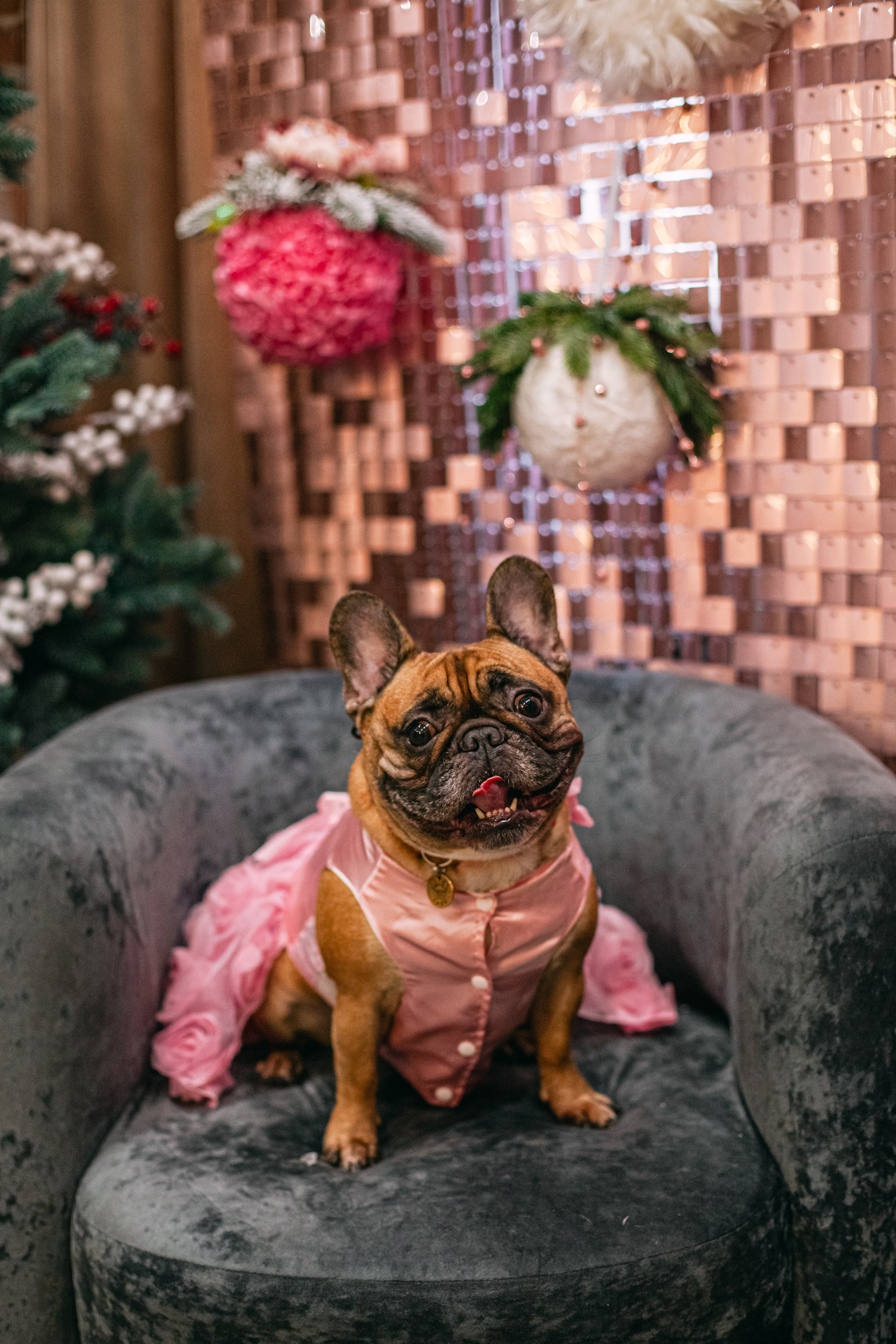 Бульёлка 2024. Фотограф-анималист Татьяна Степанова