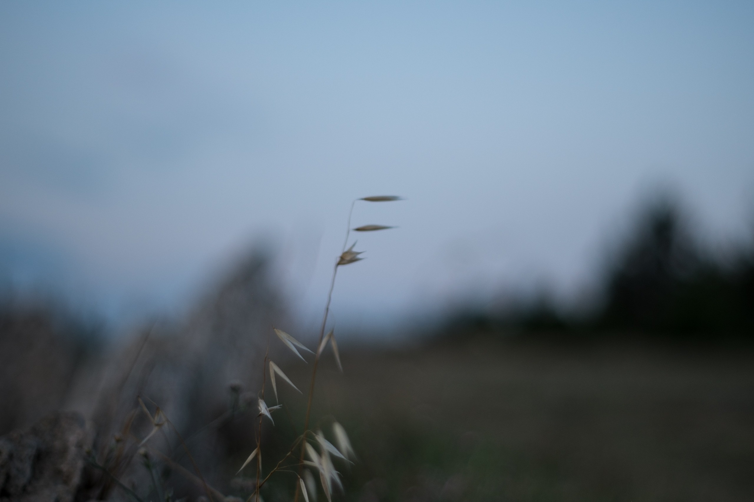 Было. Психолог • Миронова Елена