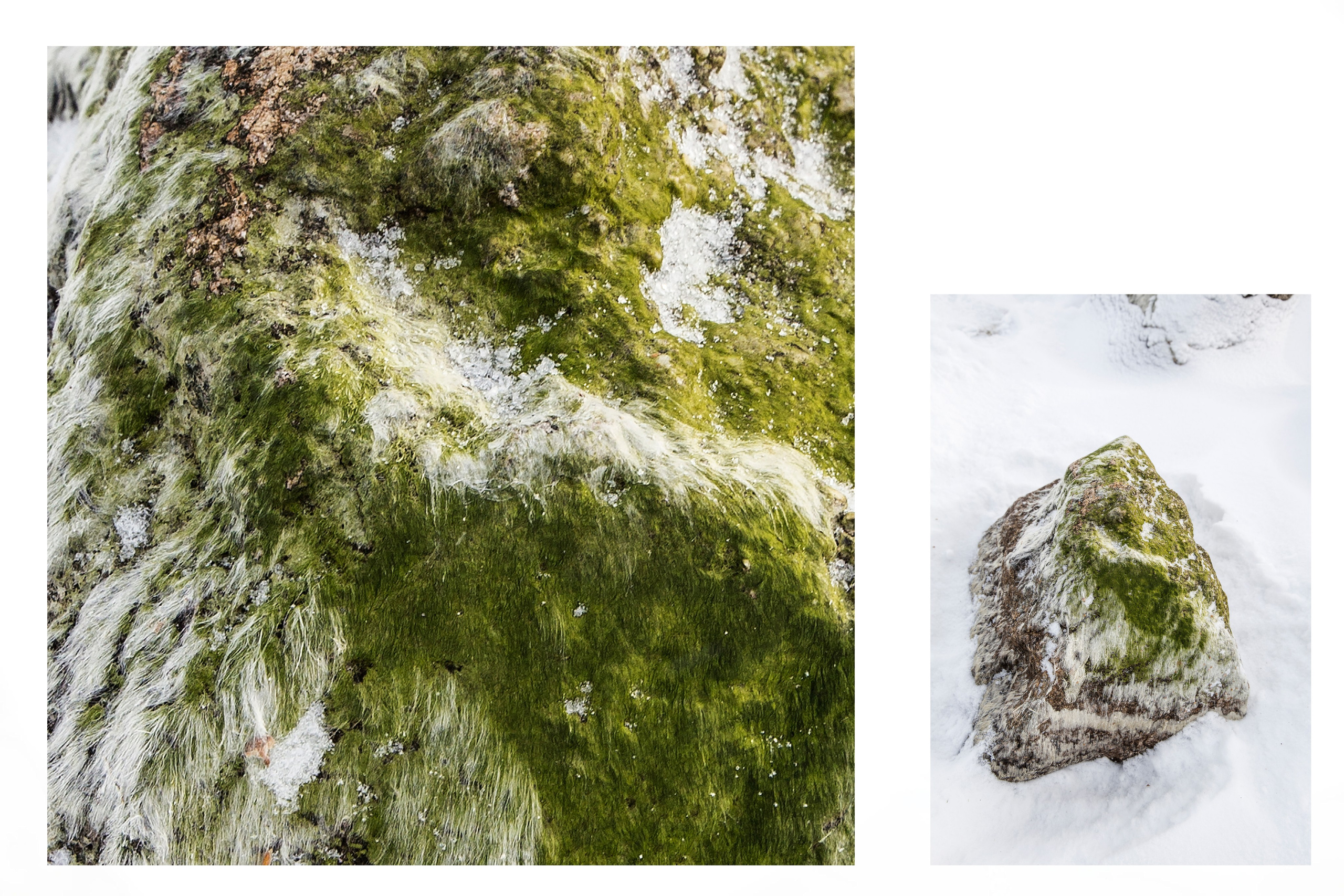 Камни. Портретный фотограф Таня