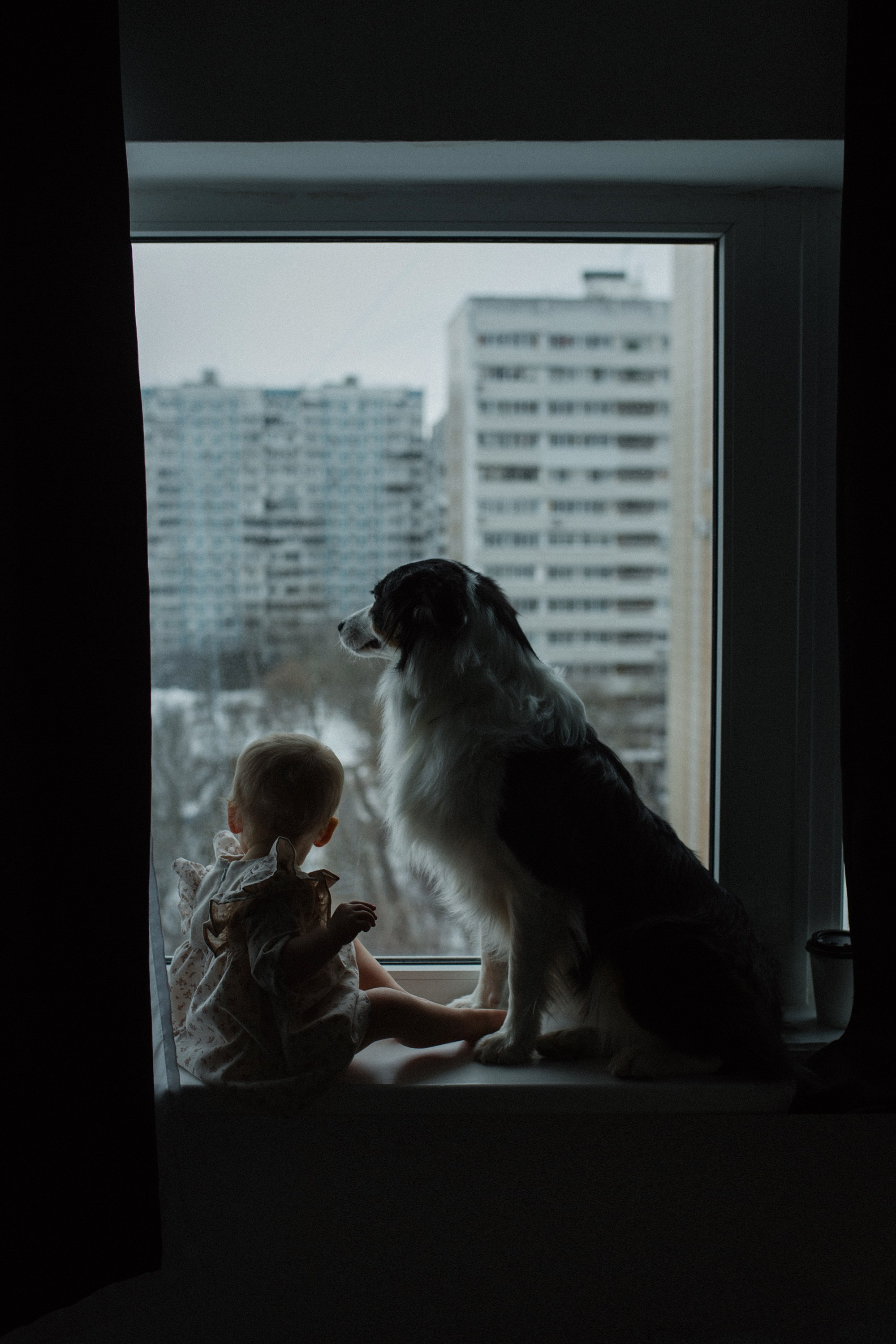 Трое в лодке не считая собаки. Фотограф Оля Батист
