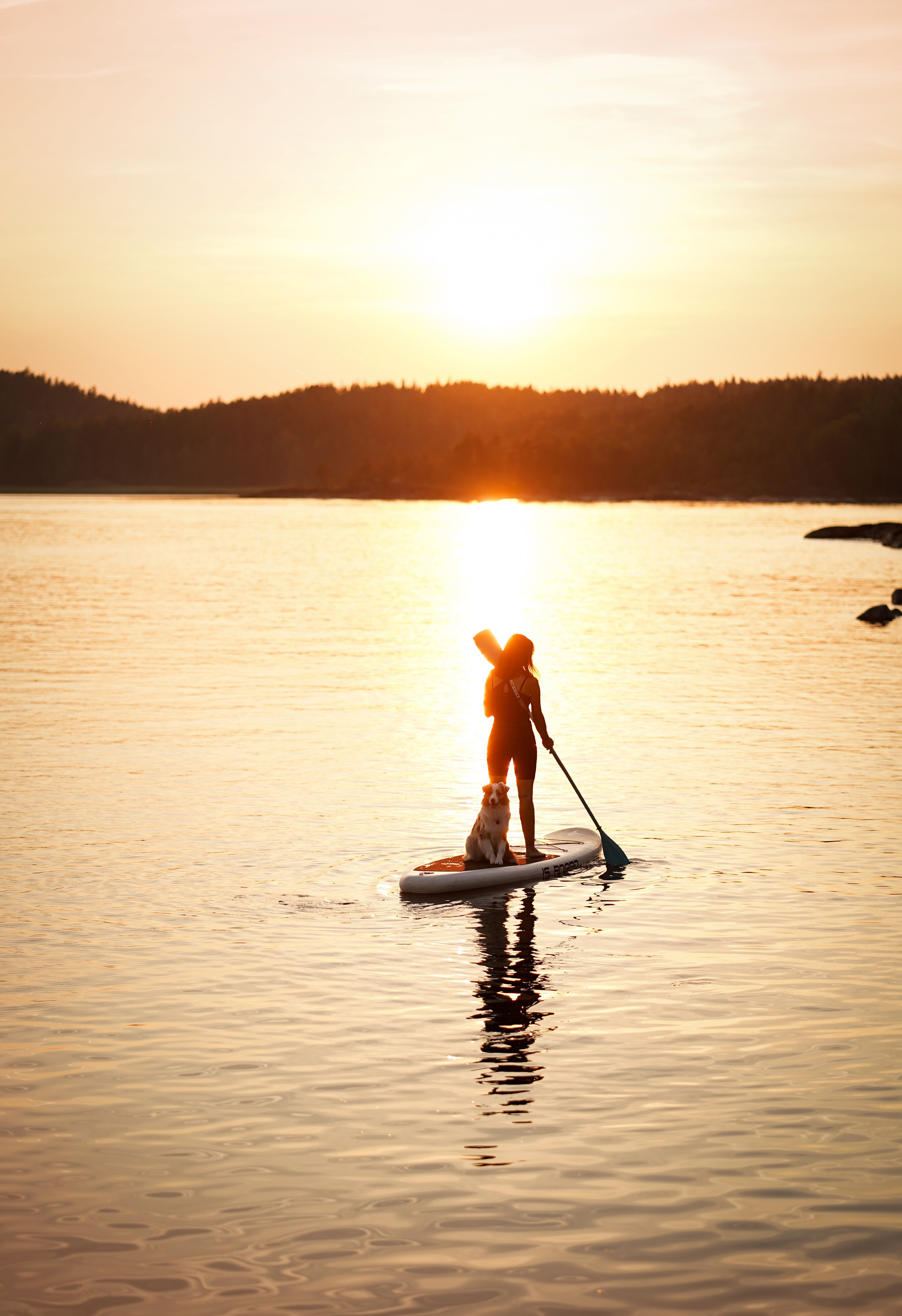 Панда SUP. Фотограф-анималист в Санкт-Петербурге Яна Мартынова