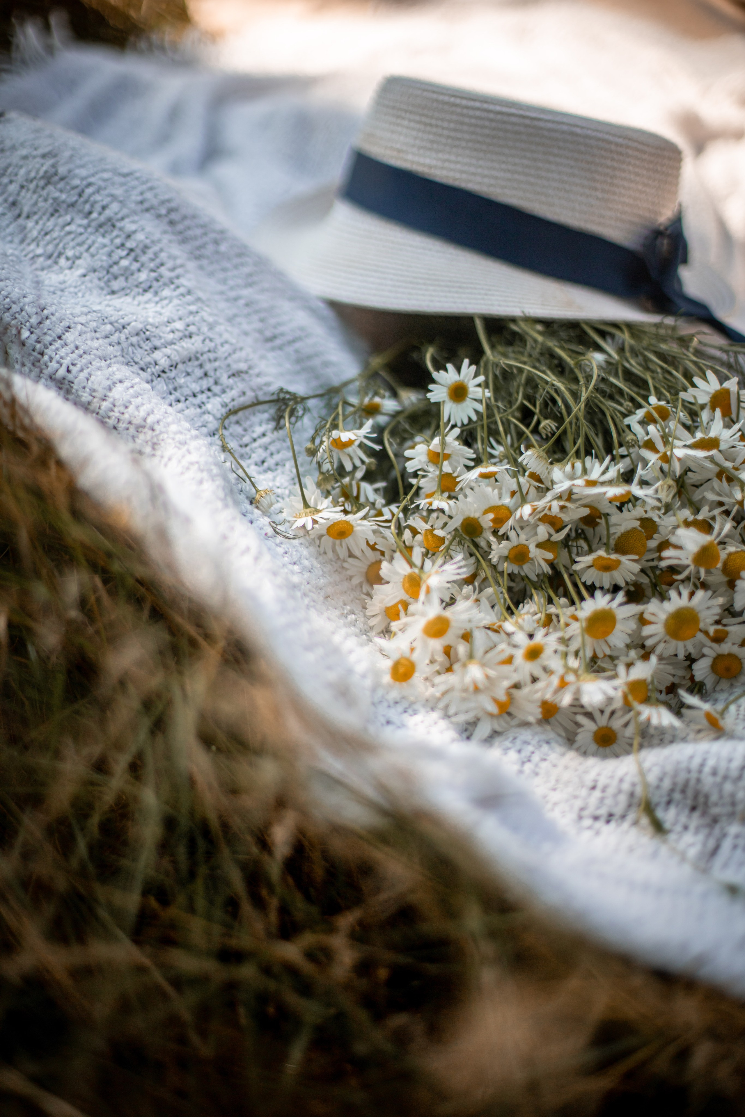 Ксения и Александр. SaGaFOTO.ru